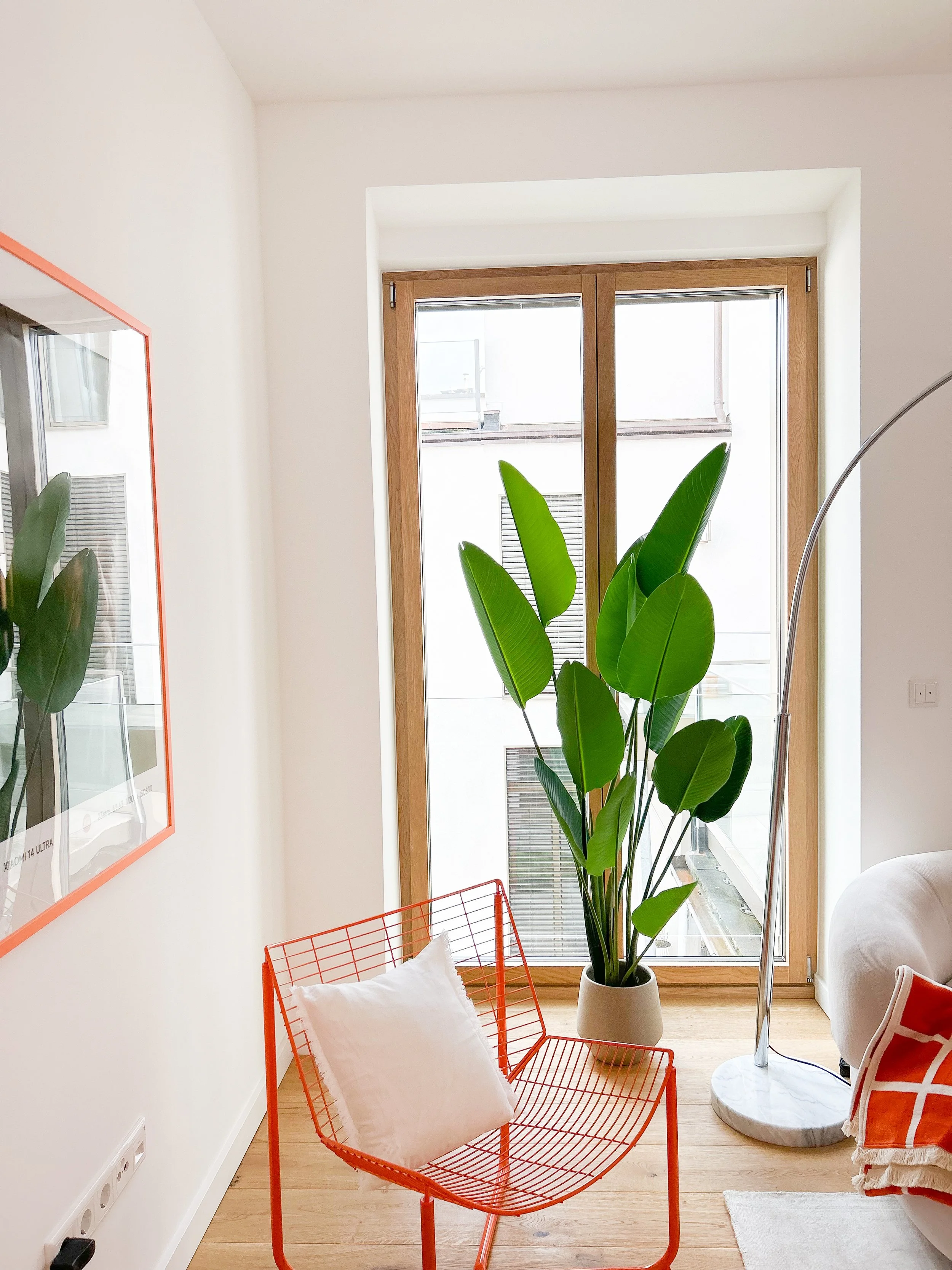 Ein modernes Wohnzimmer mit großen Fenstern, einer grünen Zimmerpflanze, einem roten Metallstuhl mit weißer Kissenauflage, einer weißen Couch, einem weißen Teppich und einem Stehlampen. Die Wände sind weiß, der Holzboden ist hell.