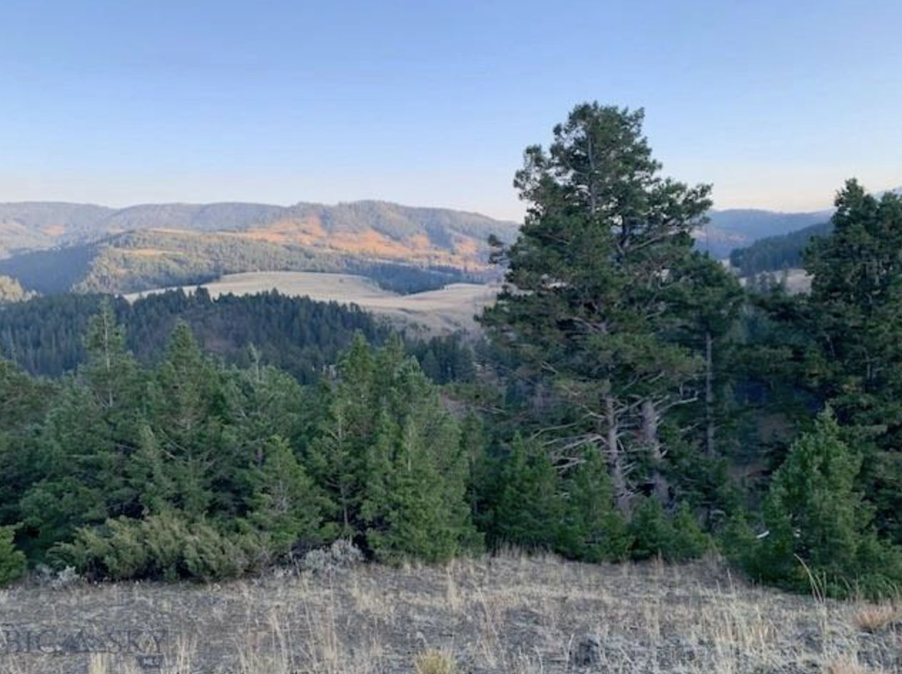 Screenshot 2025-04-25 at 12.17.06 AM.png