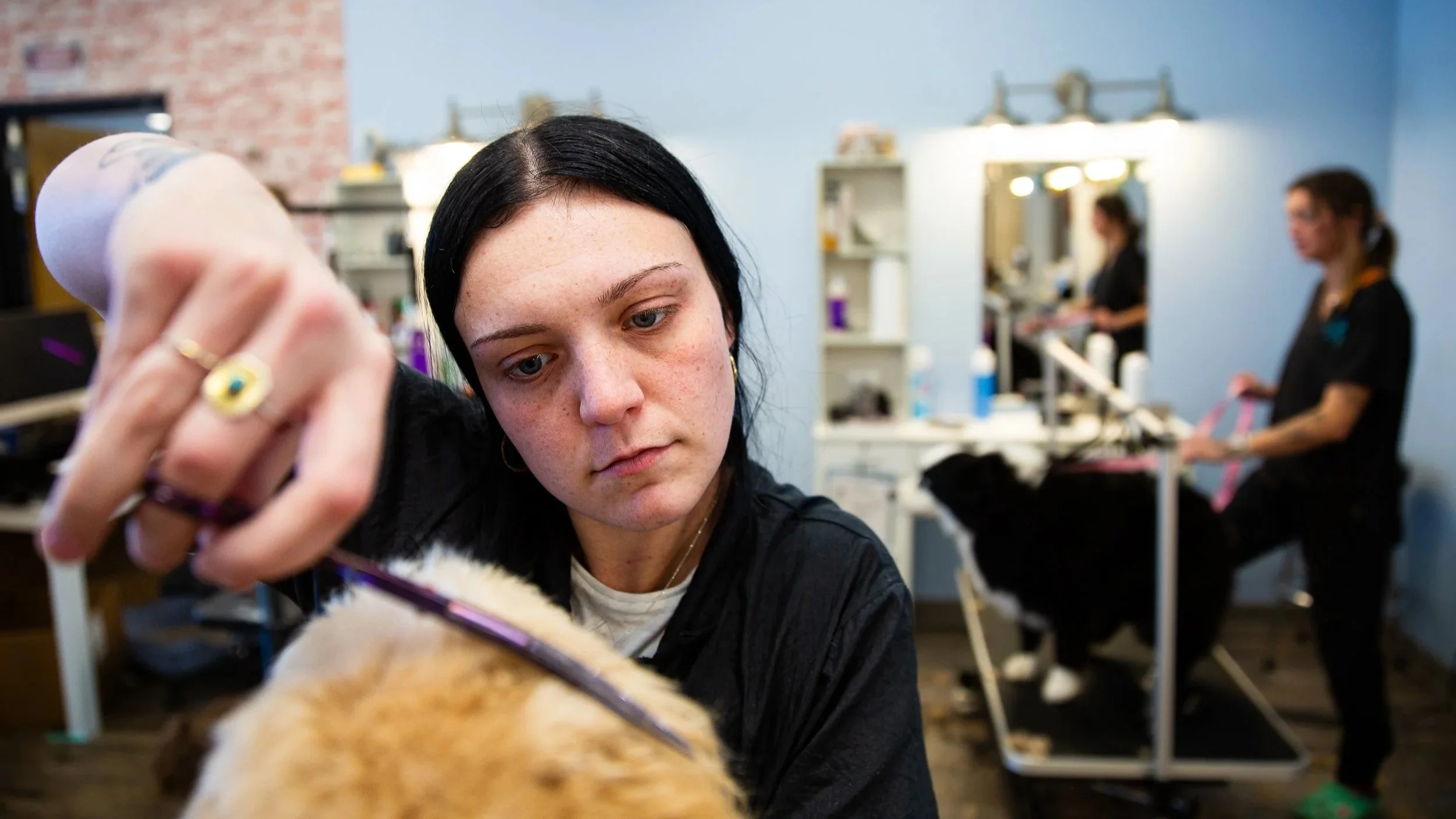 DaisyBelle Paw Spa & Market expands owasso storefront space, operations
