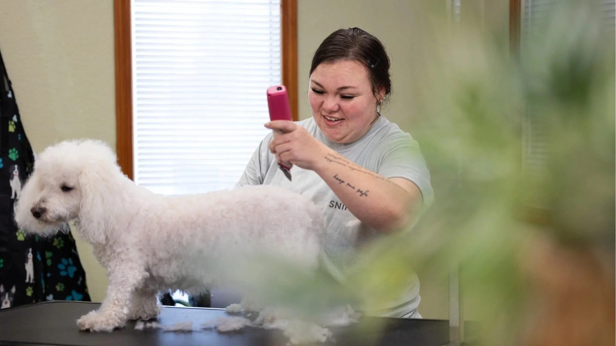 SNIP CO. debuts new dog grooming location in Owasso community