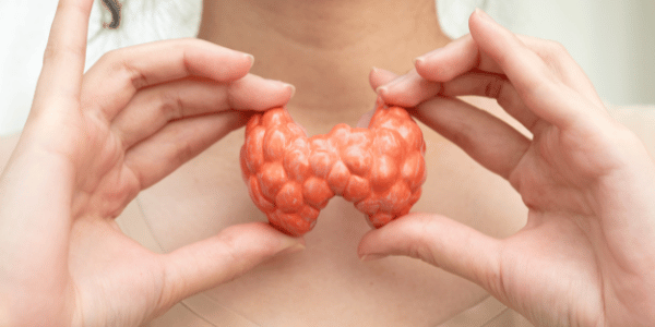 Acupuncture for Thyroid Conditions in Salt Lake City - Hypothyroid, Hyperthyroid, and Autoimmune Thyroid Health