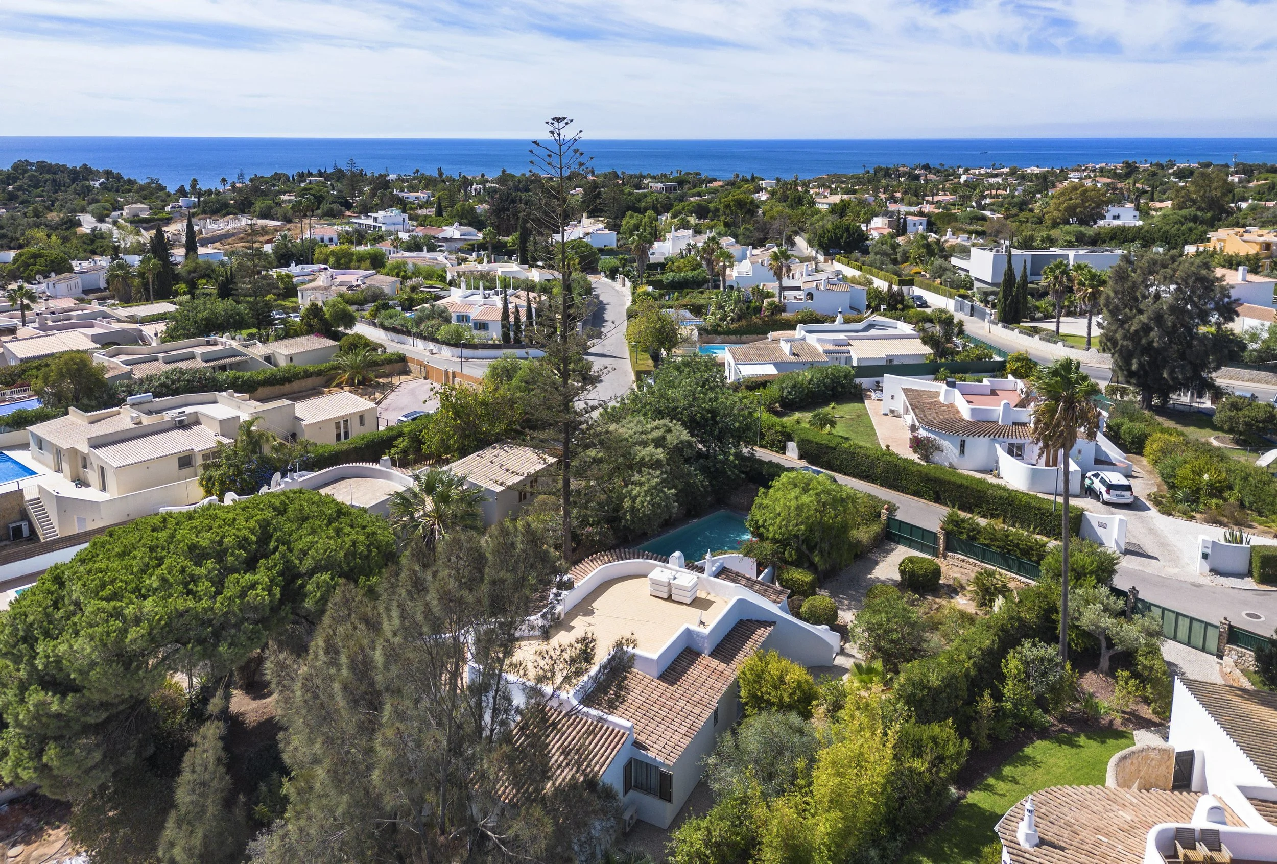 DJI_0333.jpg