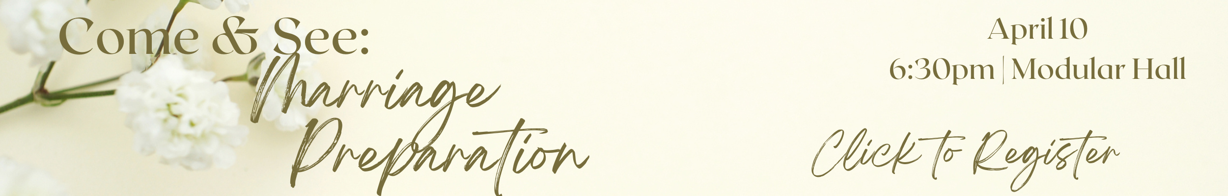 Annulment information seminar (2500 x 400 px) (3).png