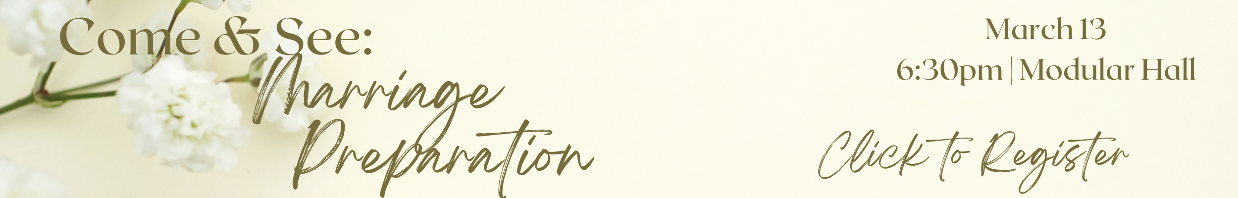 Annulment information seminar (2500 x 400 px) (2).png