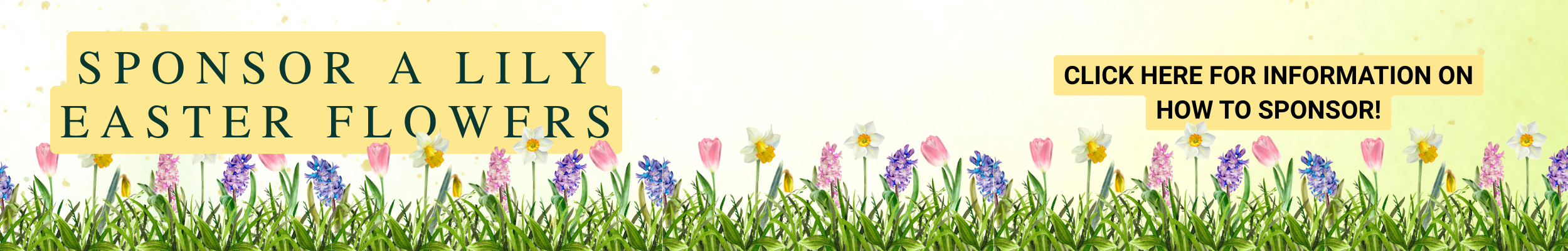 happy (2500 x 400 px).png