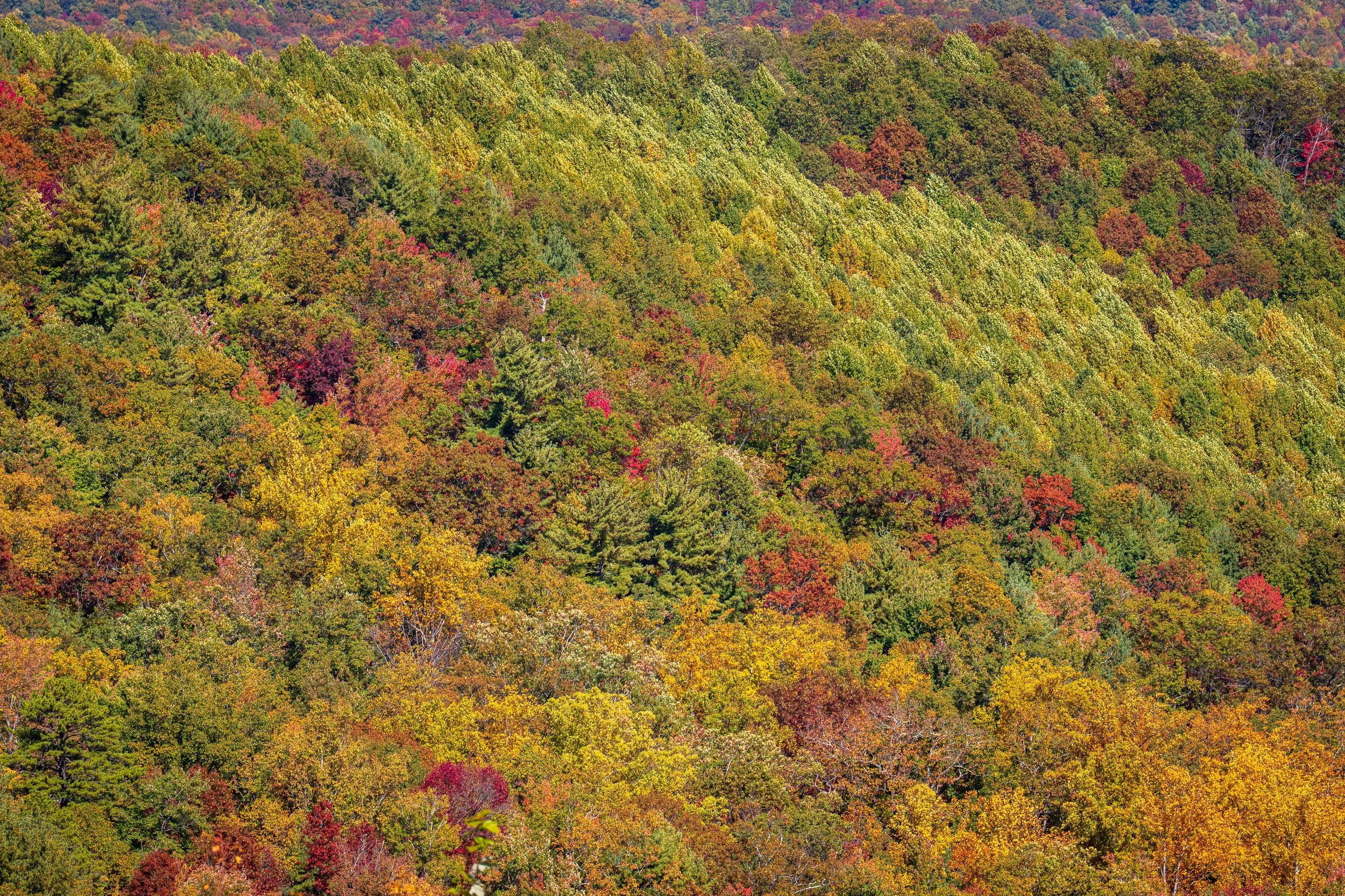 Fall Is Coming…Let’s Get Outside!