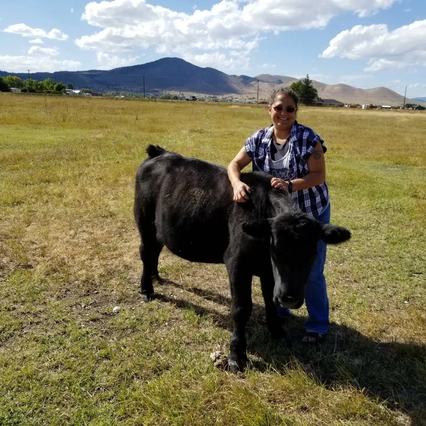 Meet Jed, one of our bovine residents! He's a little guy with no tail due to his bumpy first year of life, but he's sweet and playful as can be. Read on to hear how one of our board members, Rainy, helped Jed get to the sanctuary a few years ago. 

 