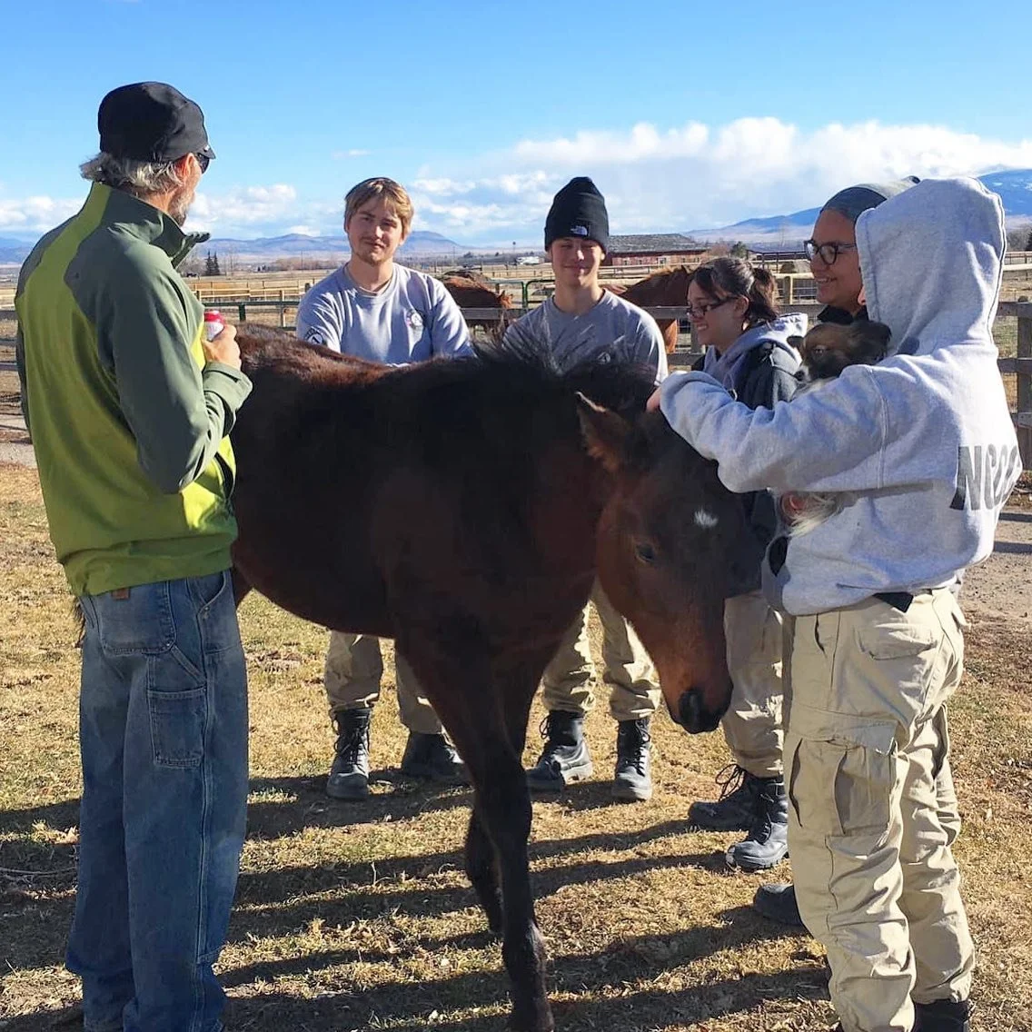 After their meeting with Lumi, @americorpsnccc volunteers helped installed more bovine-proof fence and cleaned up the junk pile.