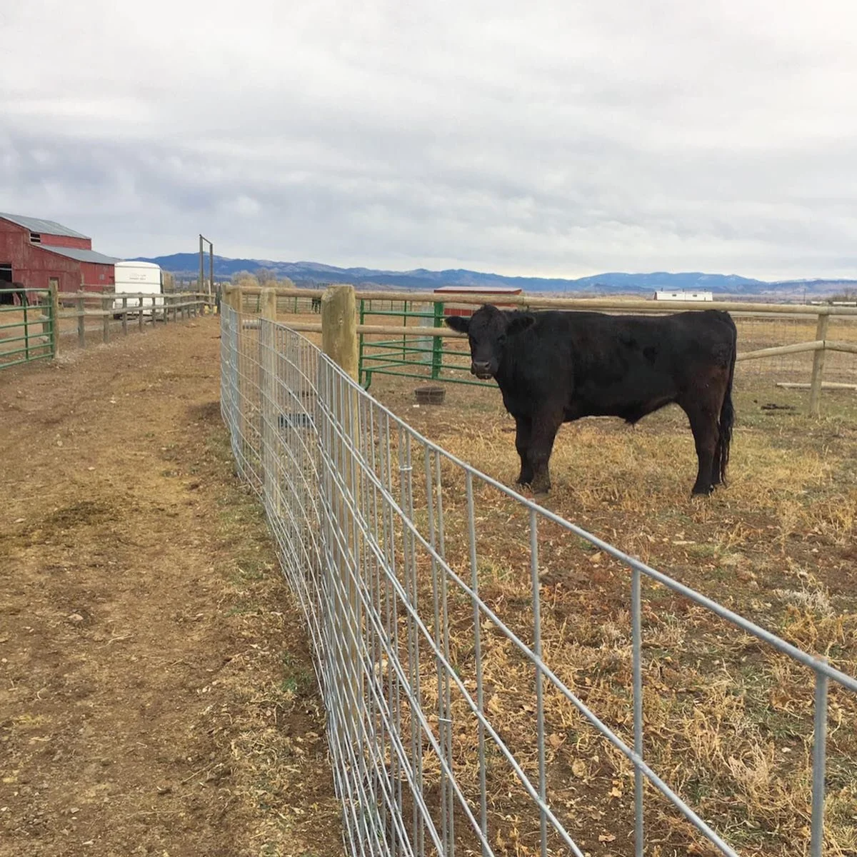 Thanks to on-site volunteers Jen and Rubix, this dude won&rsquo;t have the run of the joint anymore!