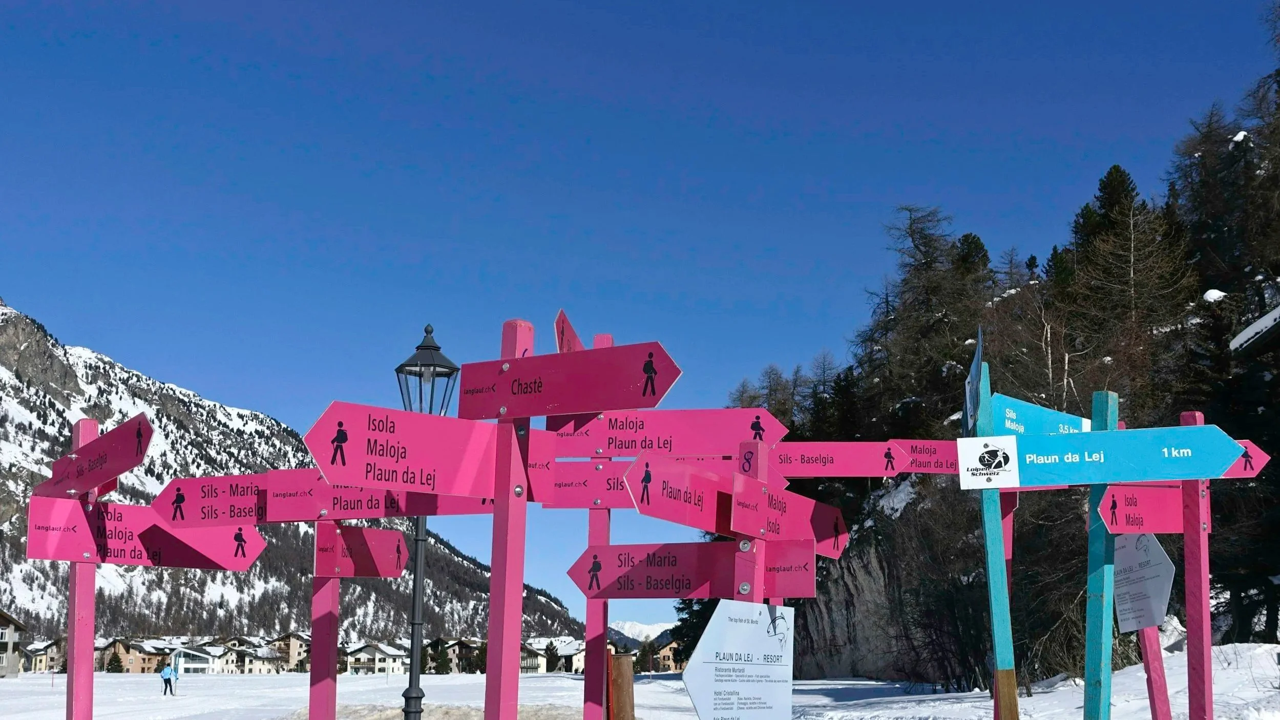 From Where Do You Choose?