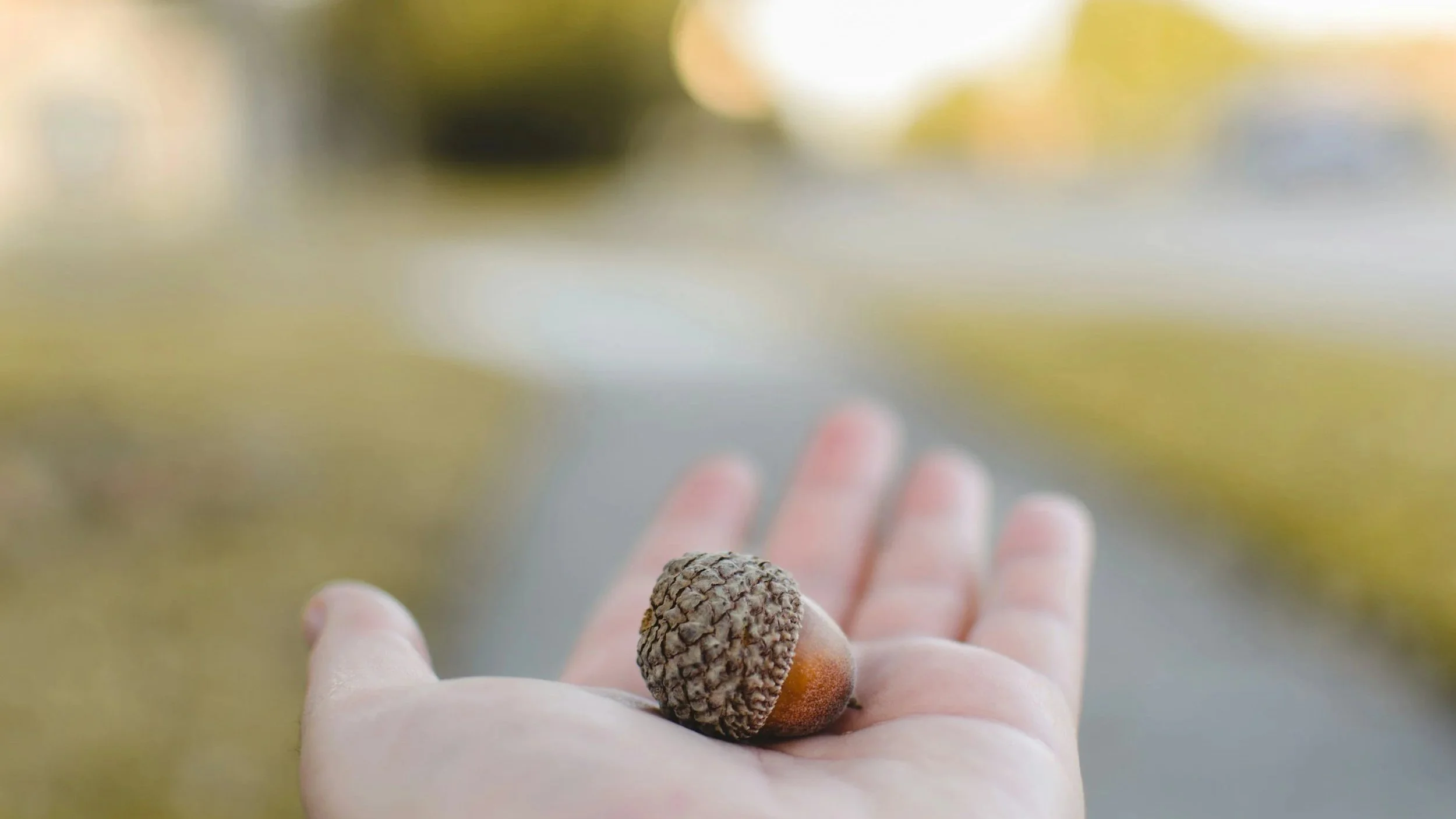 Where To Invest My Energy?