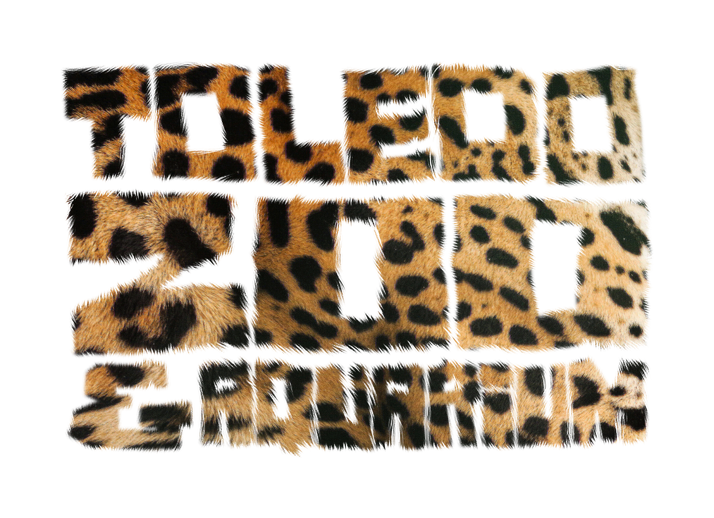 CheetahPrint2.png