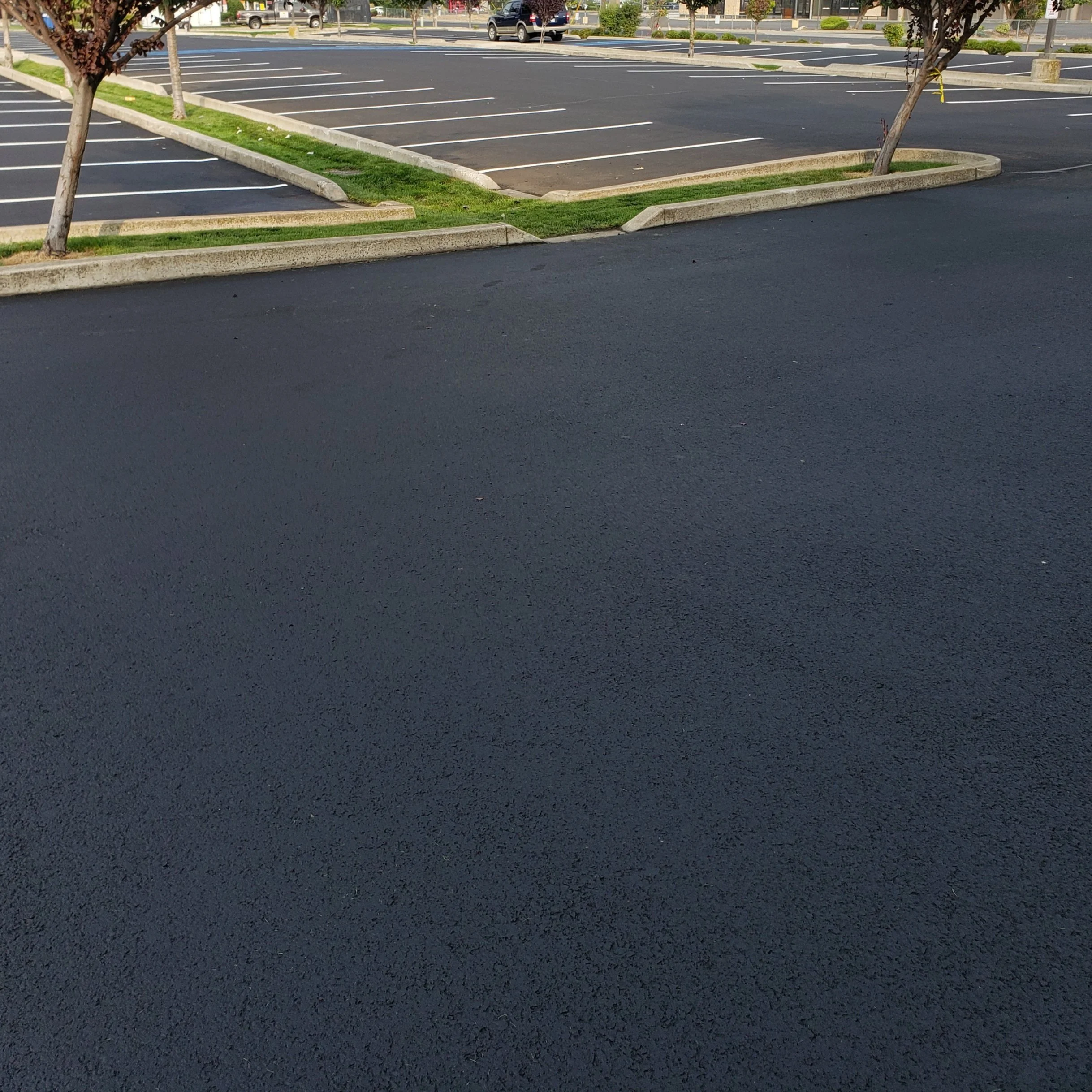 An empty parking lot with freshly paved asphalt, marked parking spaces, and a few small trees along the edges.