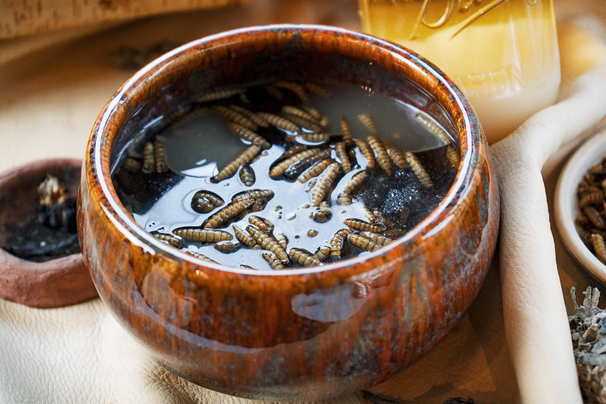 owamni-website-149.jpg
