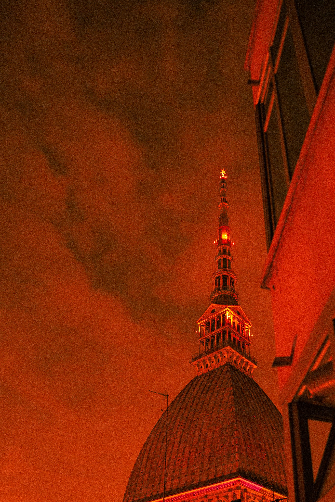 DSC05616.jpg