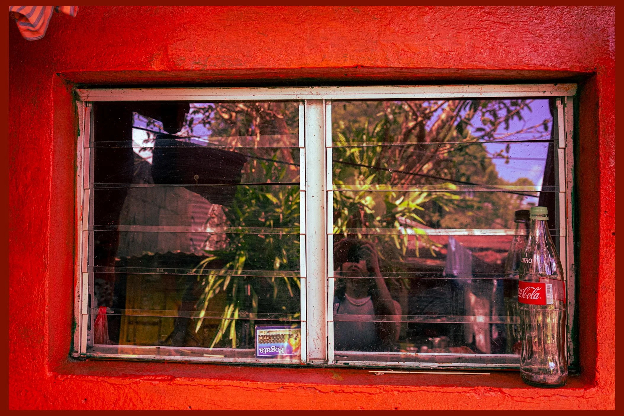 Aunt Selma’s Kitchen Window Reflecting the Tropical Plant Life of Alta Verapaz, 2022