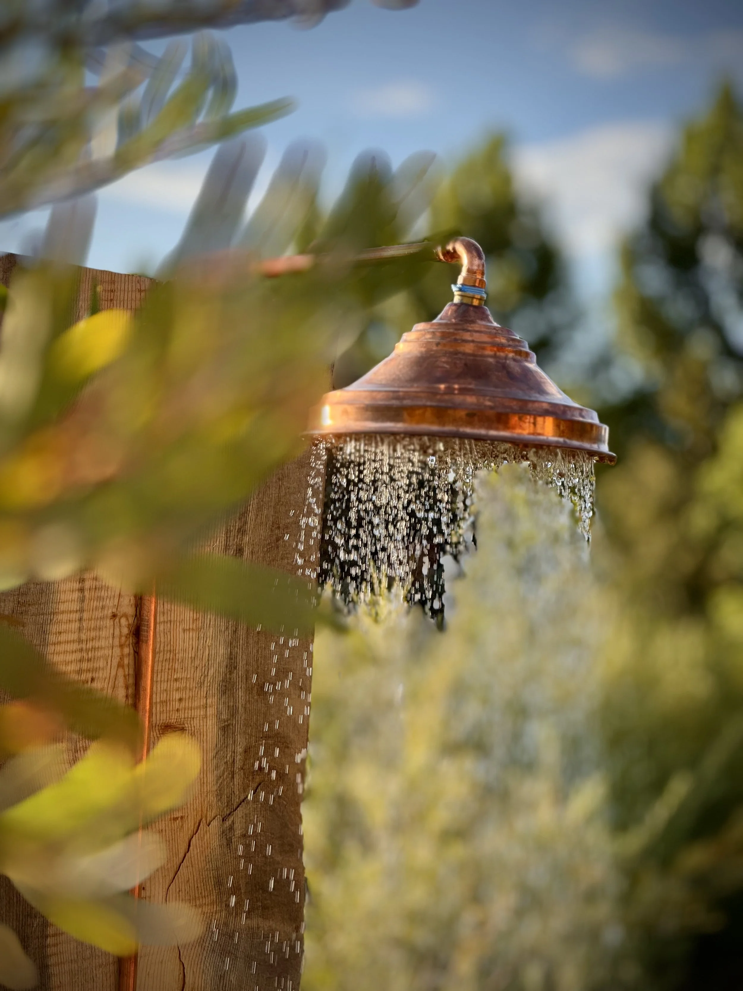 An outdoor copper shower head attached to a wooden wall, with water flowing out, surrounded by green foliage and trees with blue sky