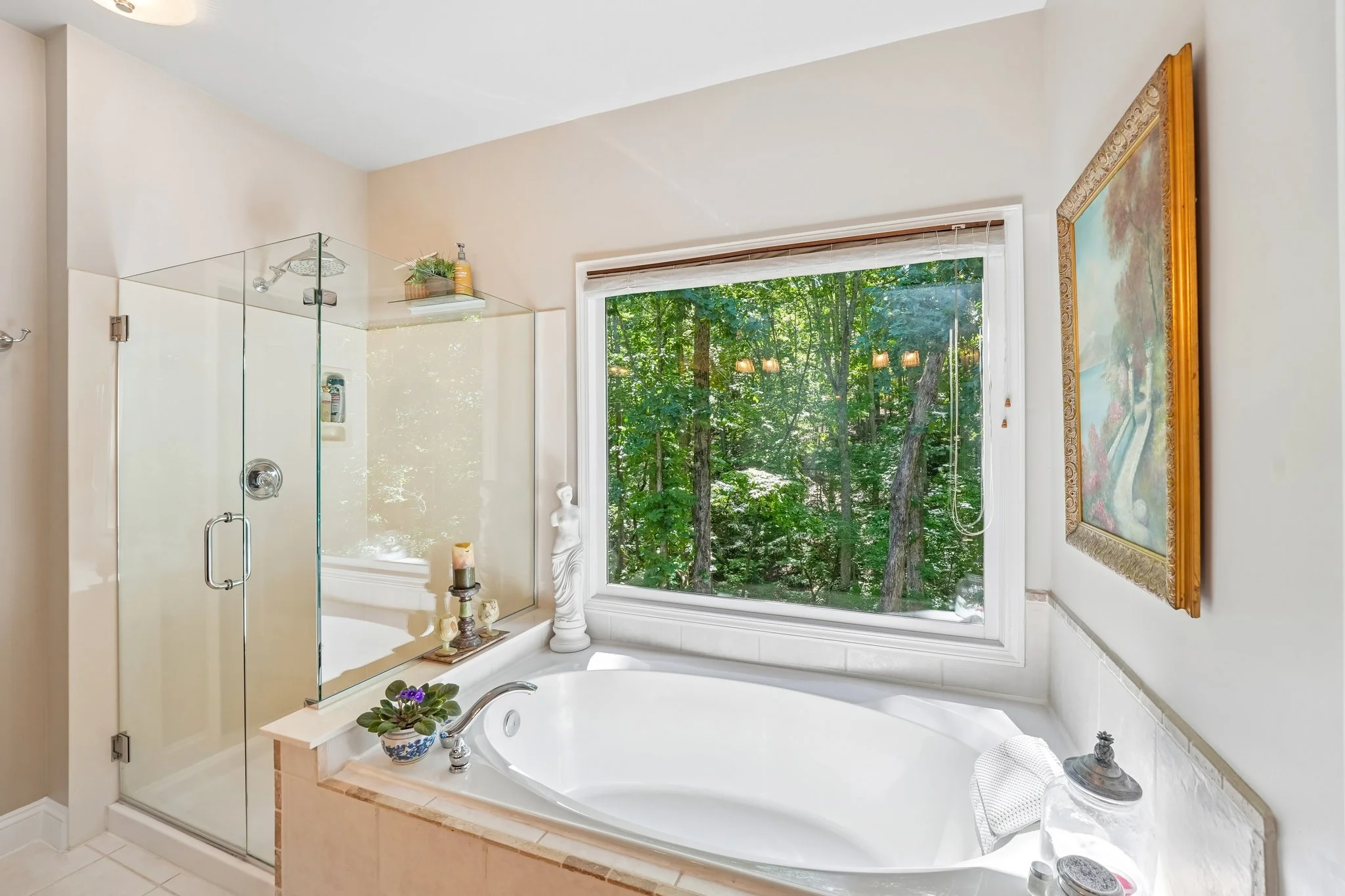 31-web-or-mls-Princeton Trce-S1505-029.jpg