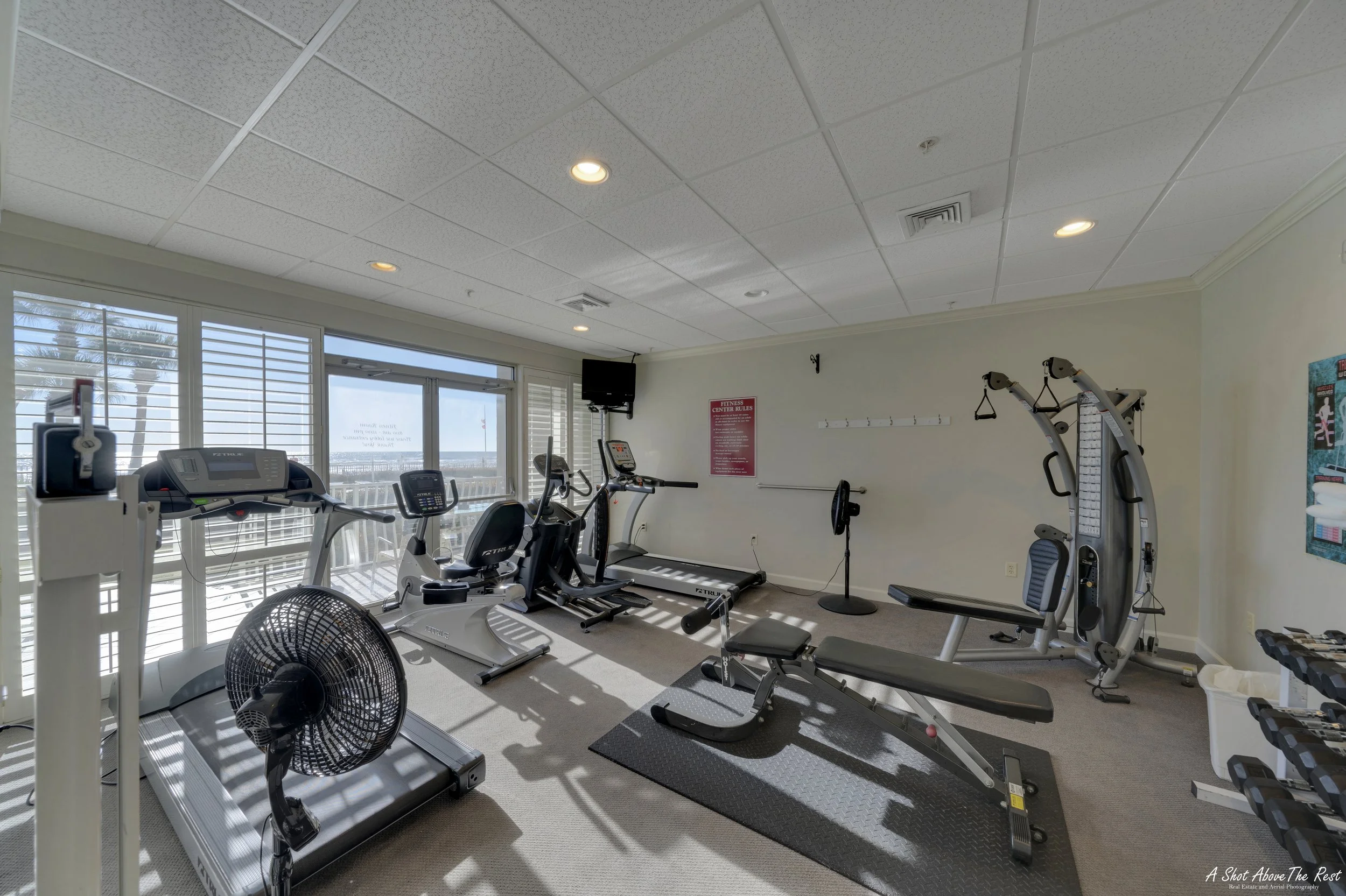 A14 Coral Reef 2022 WM.jpg