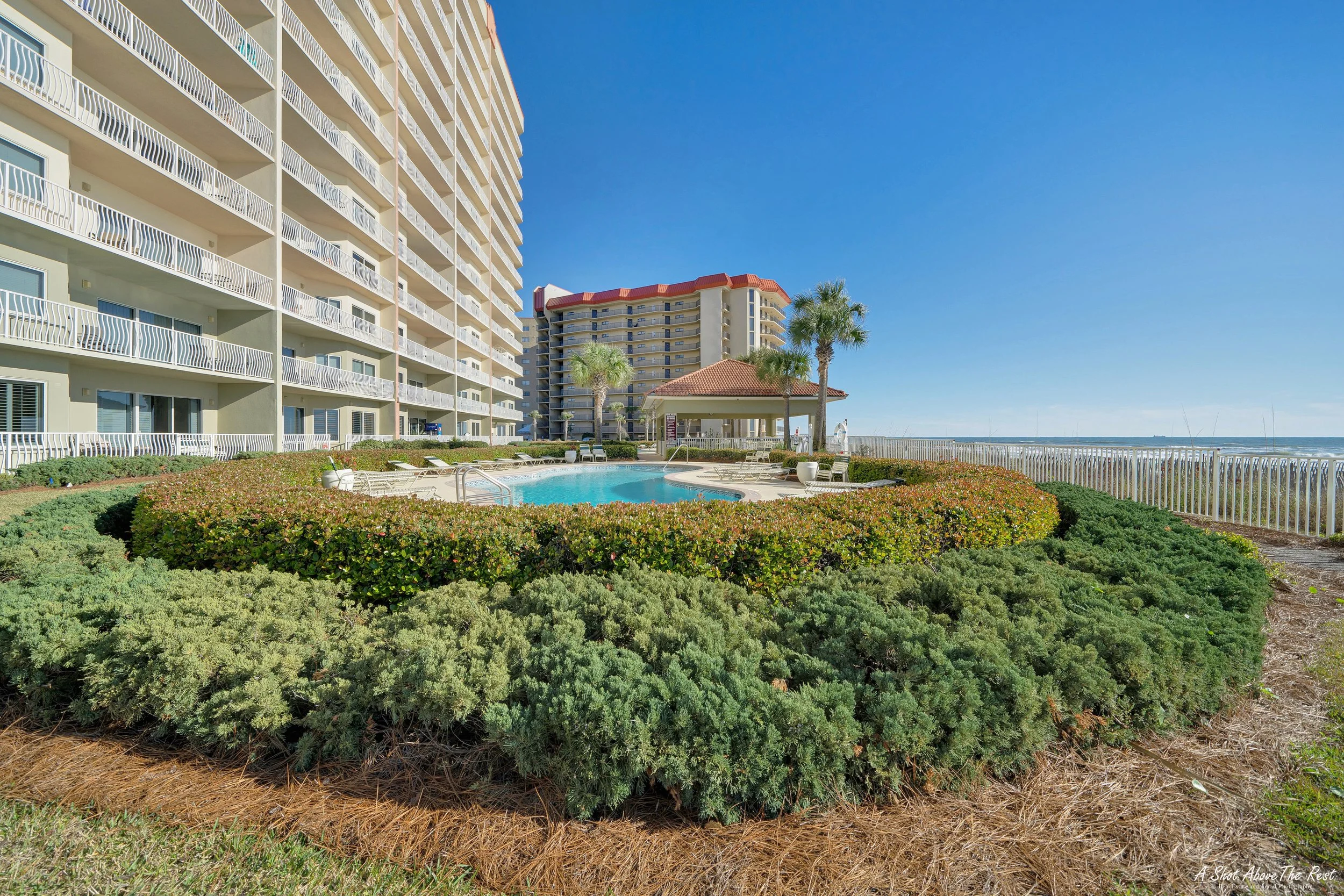 A6 Coral Reef 2022 WM.jpg