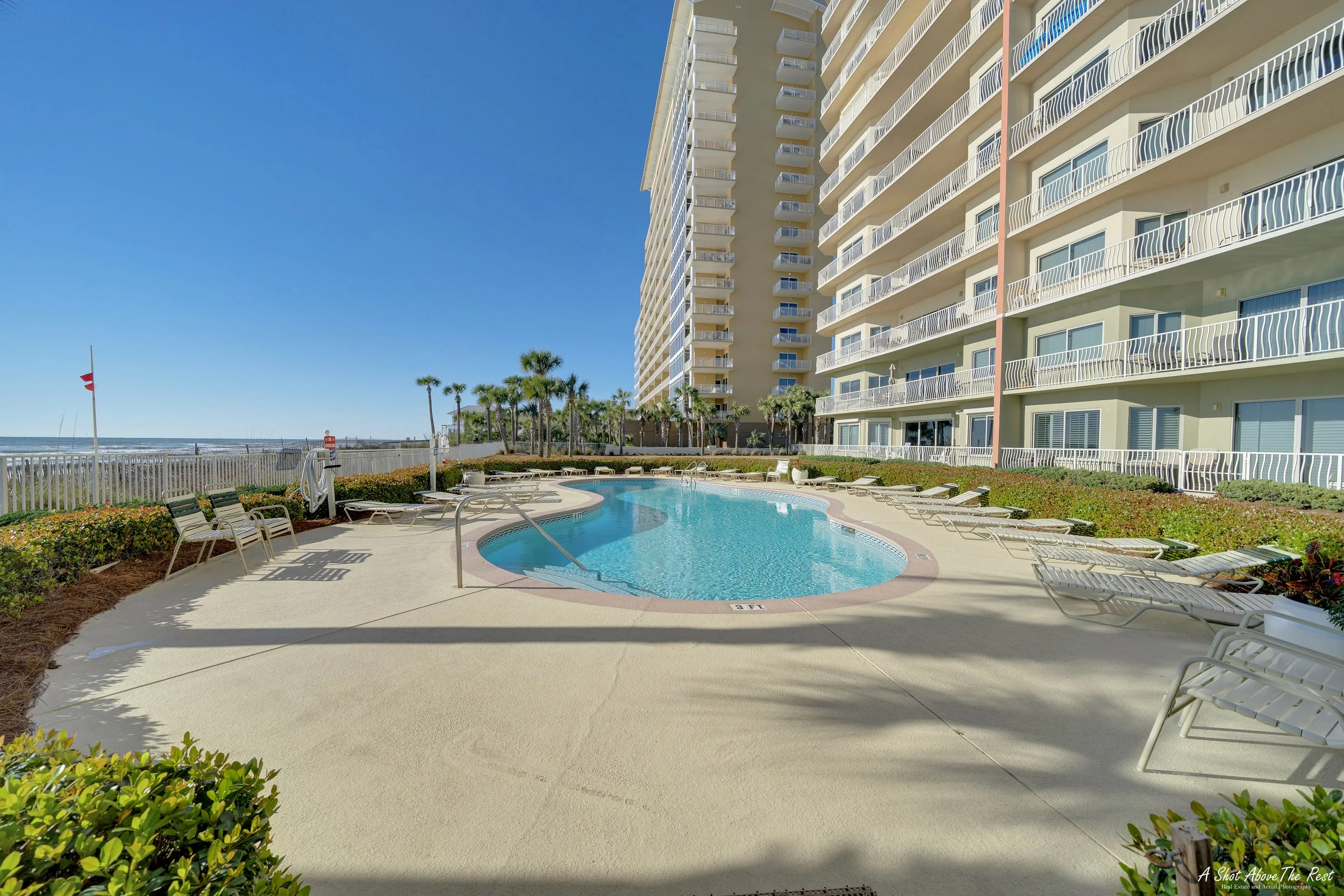 A9 Coral Reef 2022 WM.jpg