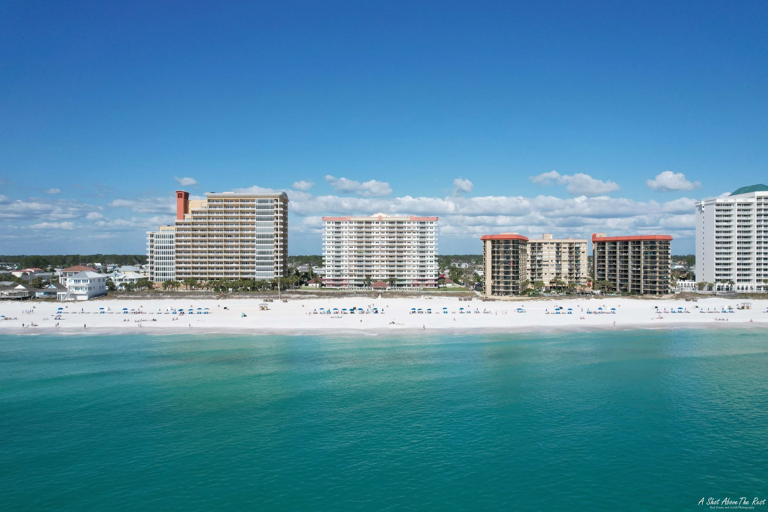 D1 Coral Reef 2022 WM.jpg