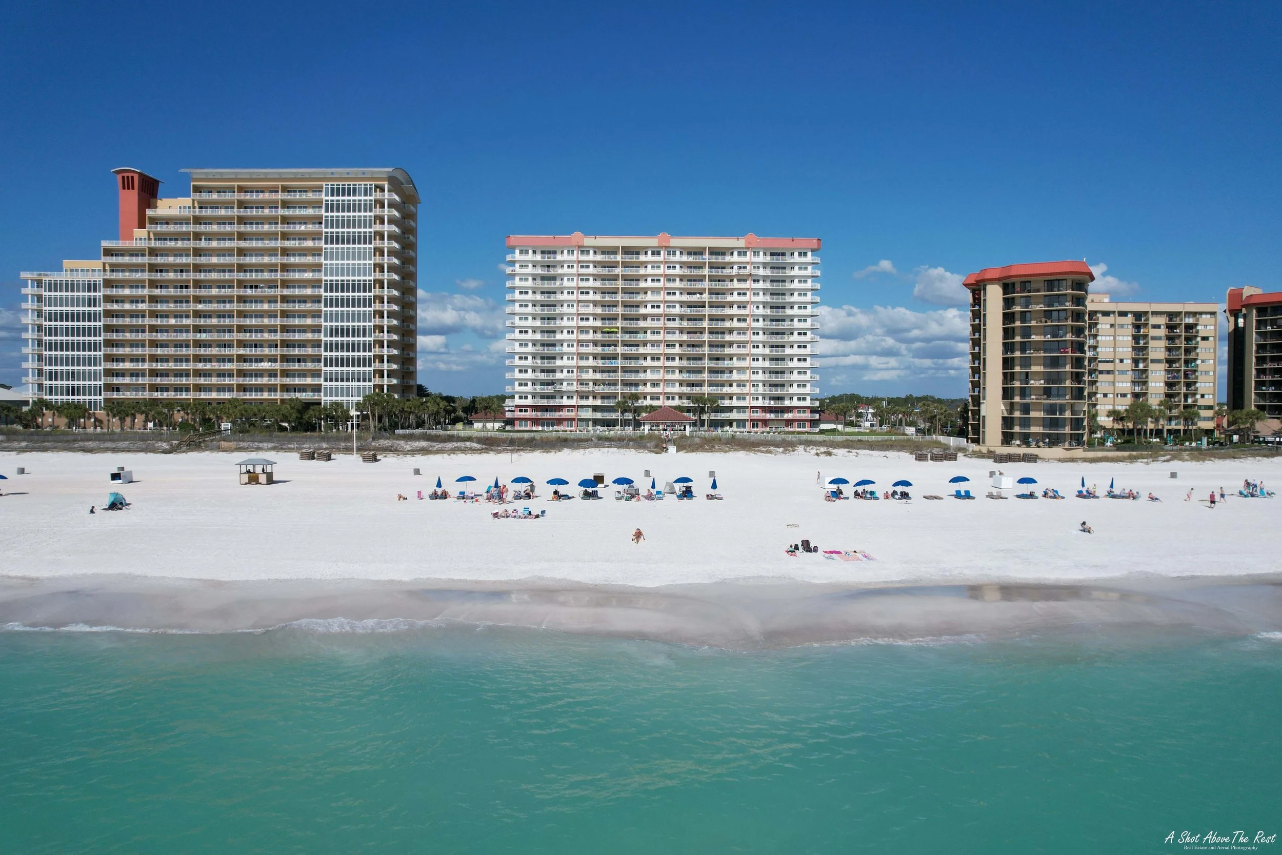 D4 Coral Reef 2022 WM.jpg