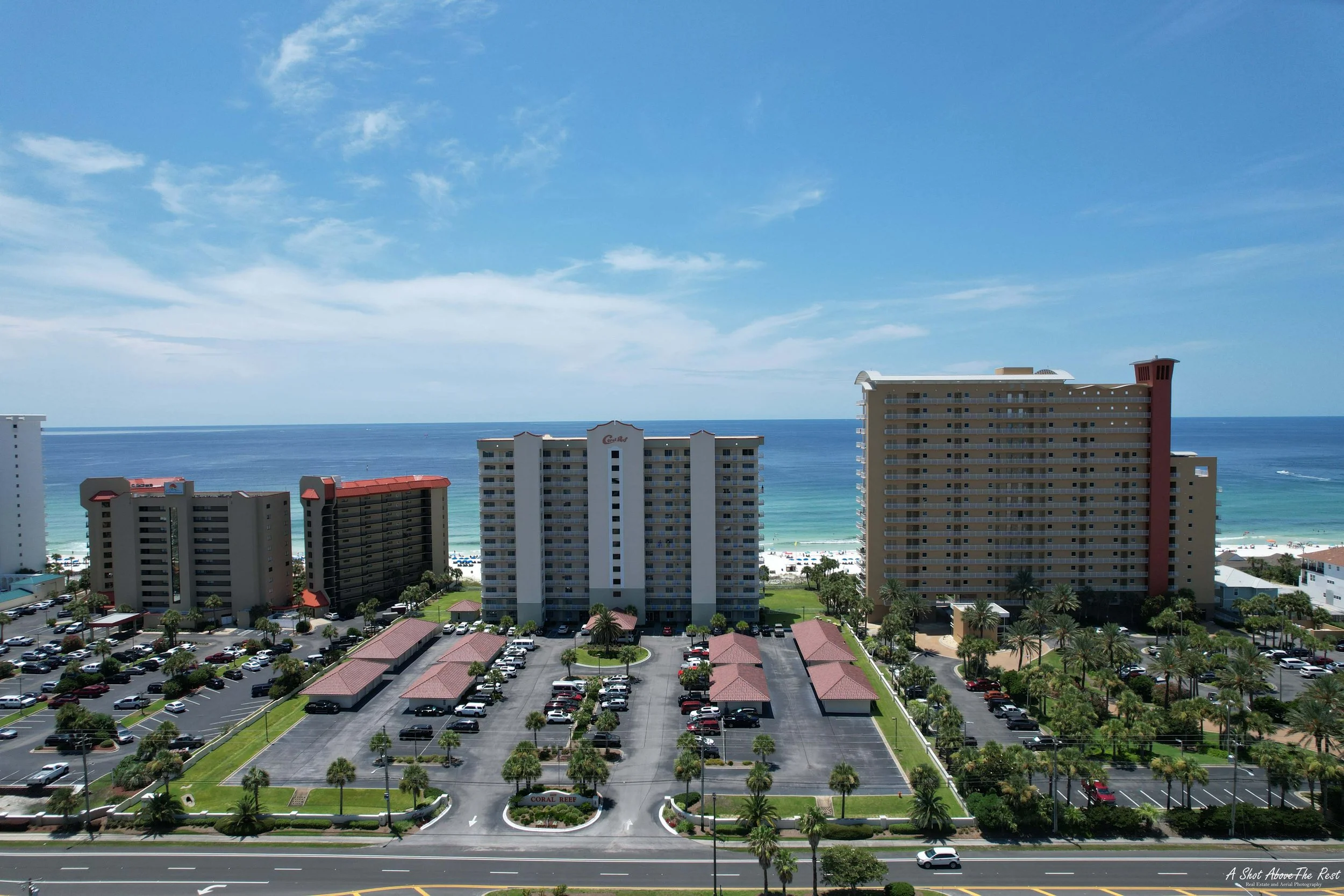 D7 Coral Reef 2022 WM.jpg