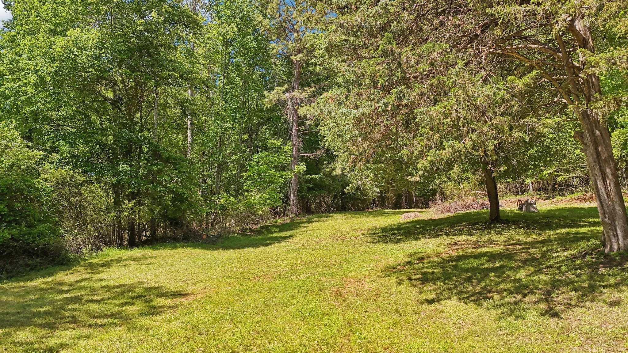 45-web-or-mls-Plantation Dr-0705-045.jpg