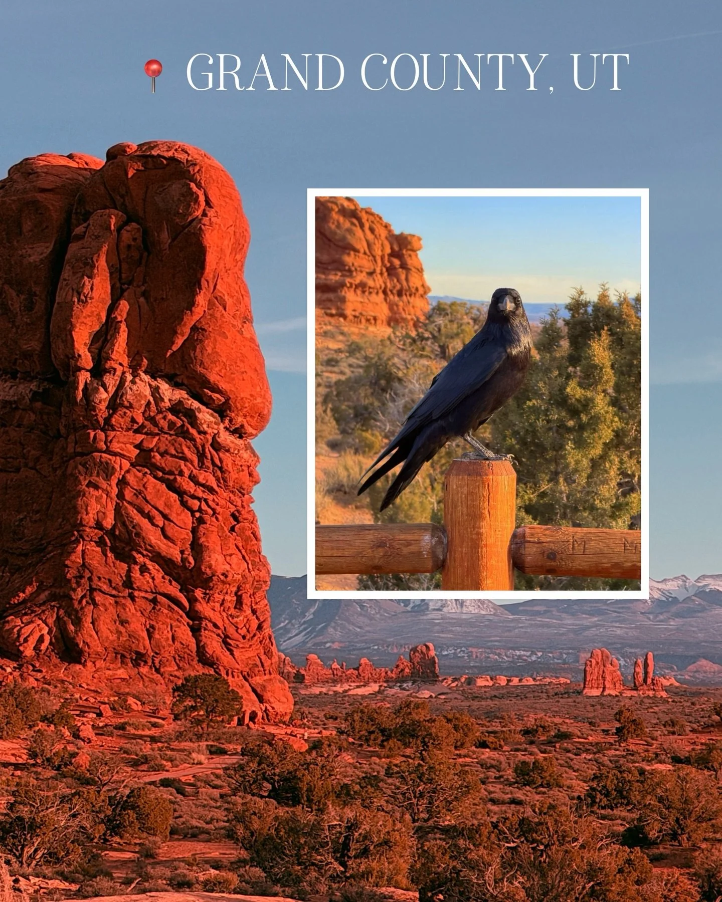 I ❤︎⁠ cameras, in-front or behind 

2026 we traveling