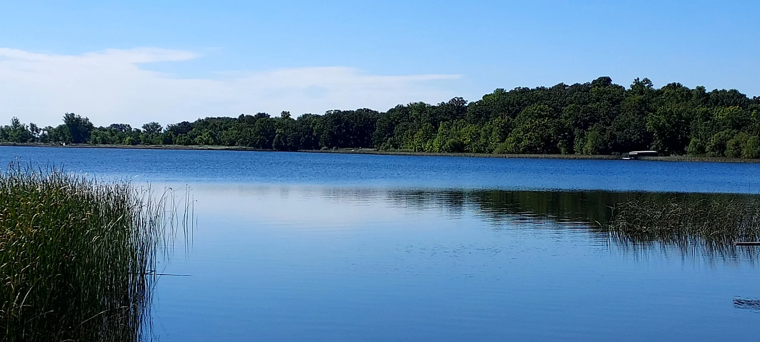 Peaceful Little Chippewa Lake with blue water, surrounded by green trees and clear sky.