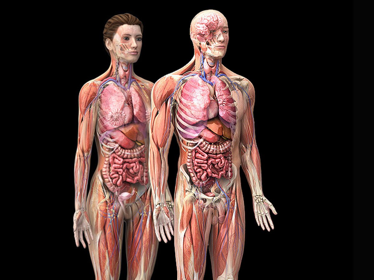Fitness Literacy: Understanding Your Own Body