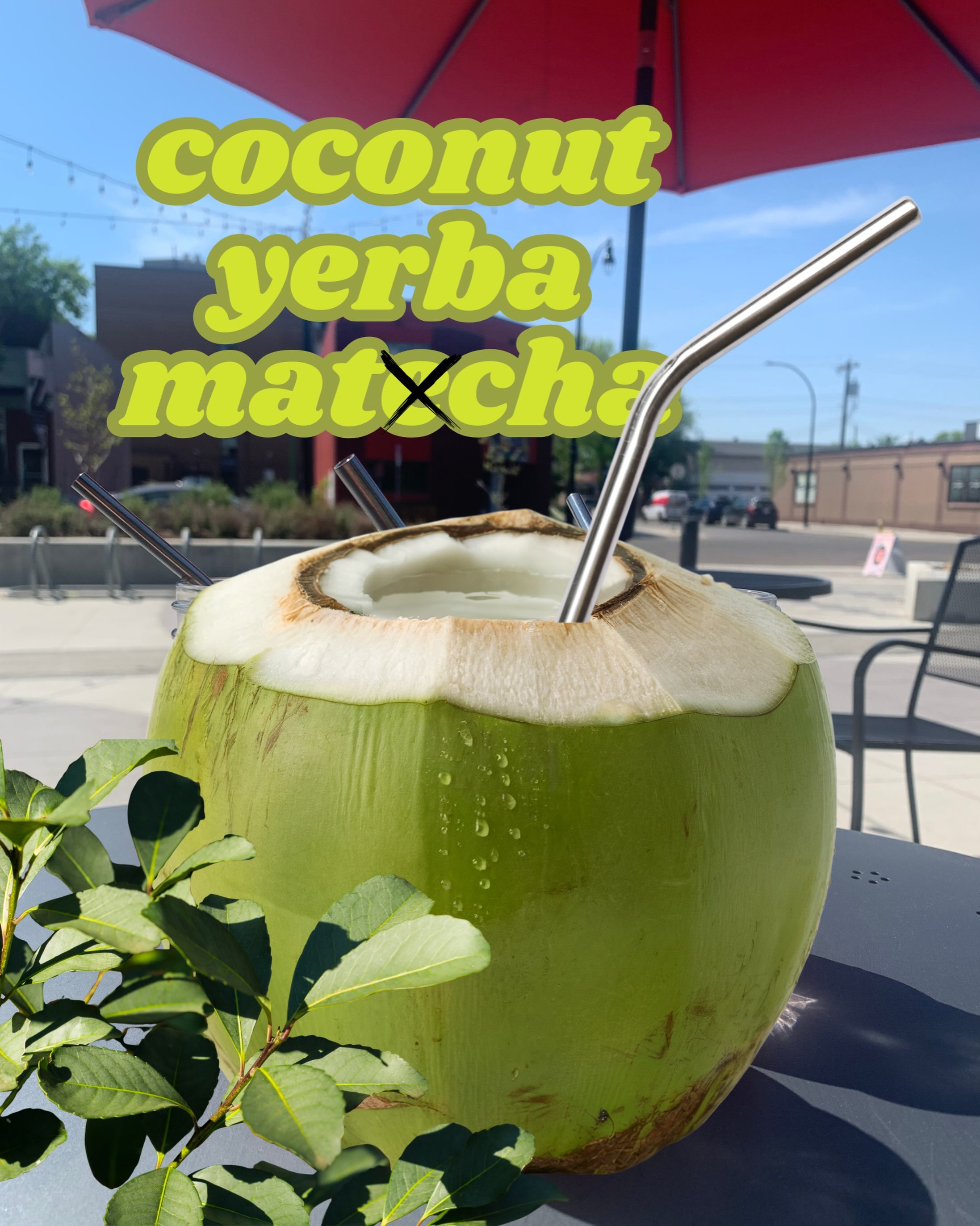 New late-summer drink: Coconut Yerba Matcha! 

We use a Yerba Mate tea, ground into a fine powder and frothed like matcha, combined with sweet coconut syrup and a non-dairy milk of your choice. Try it hot or iced!