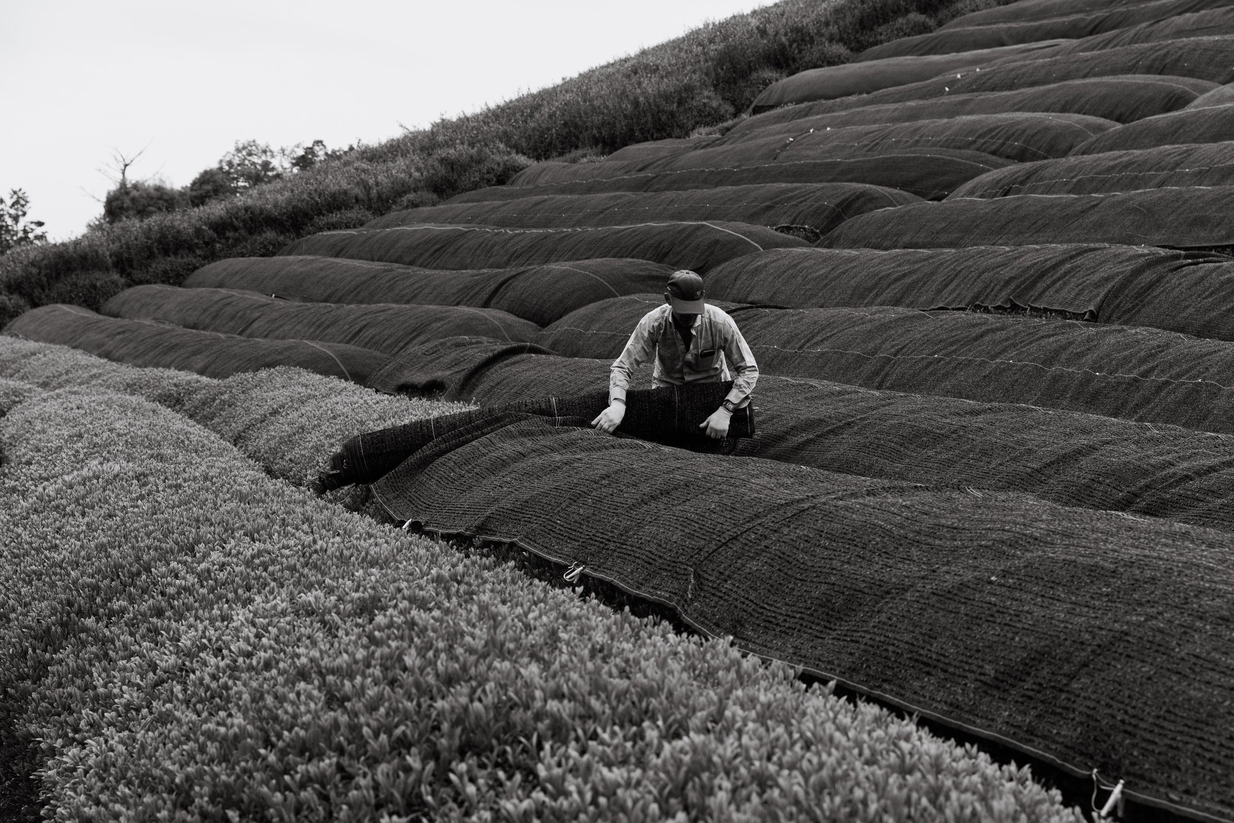 10BW①.jpeg