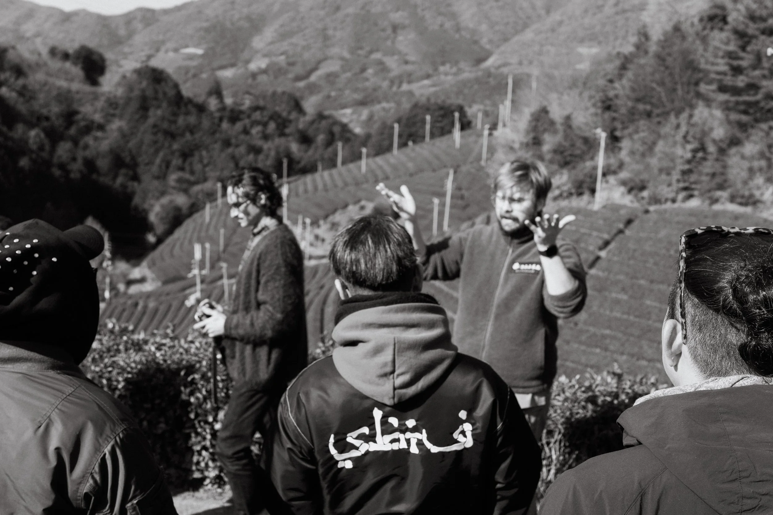 Sabotage and crew in the high tea fields