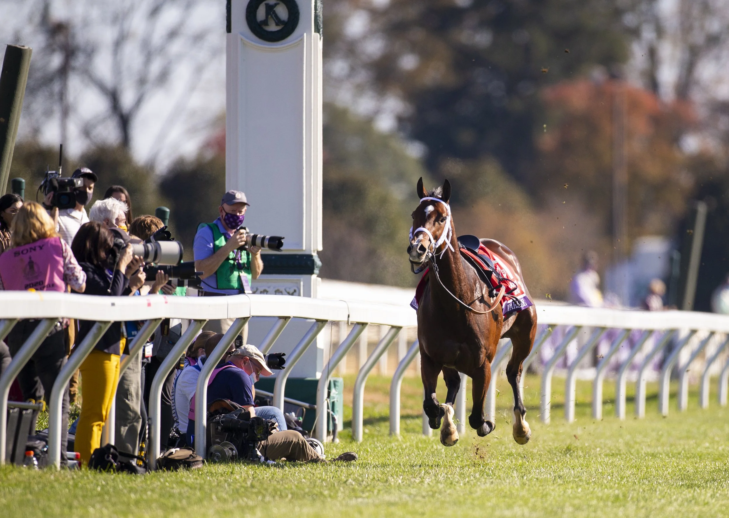 20201106_BreedersCupFriday_4312.JPG