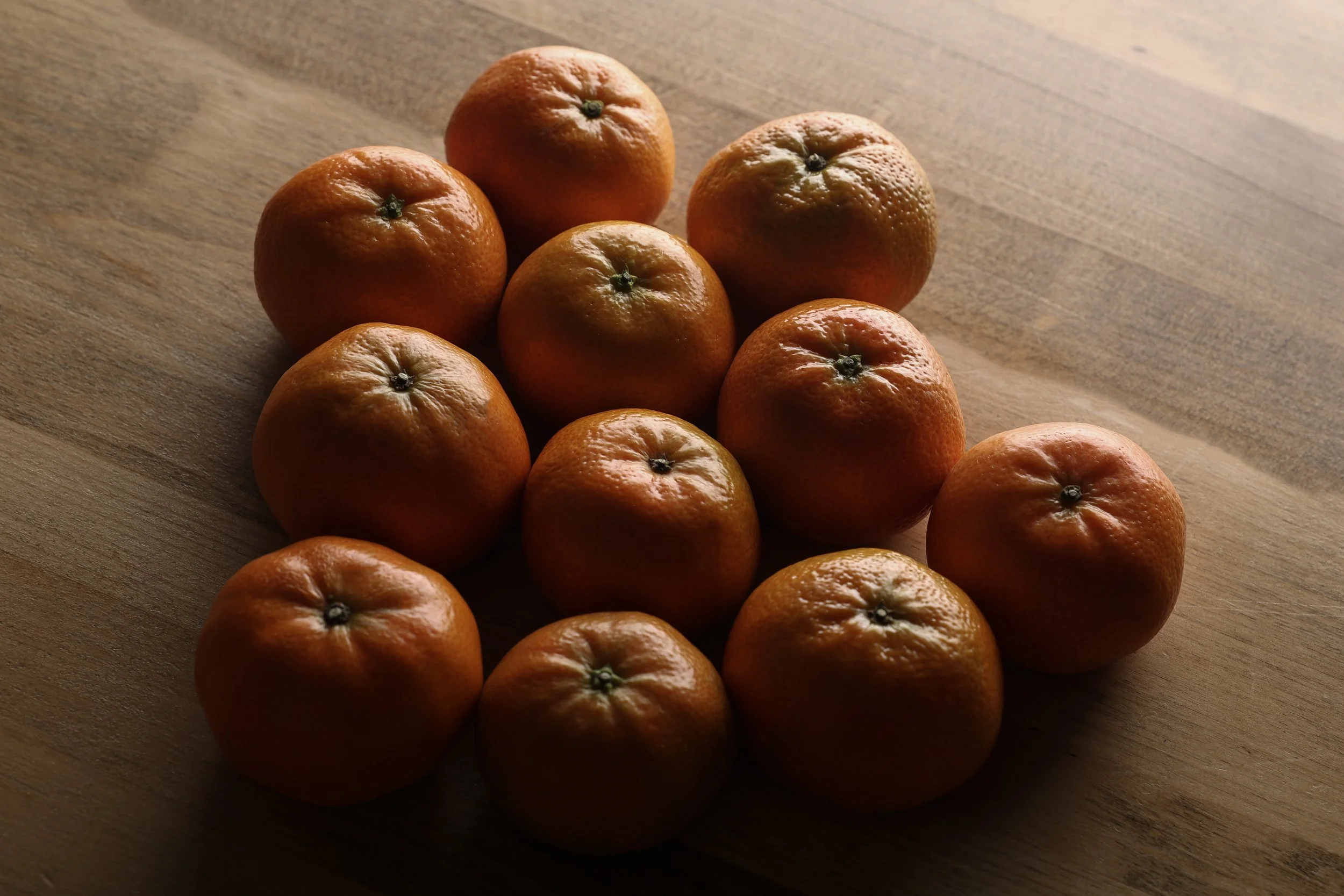 20250924_HomeStudio_05 copy.JPG