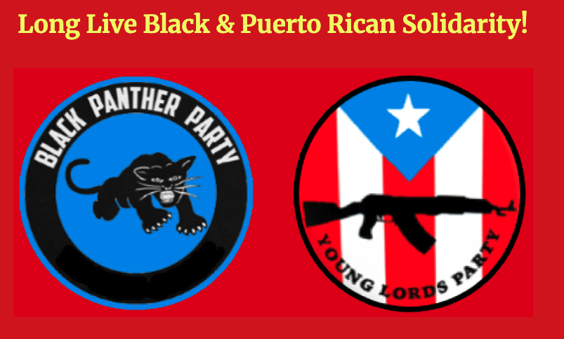 Screenshot 2026-02-24 at 10.30.50 AM.png