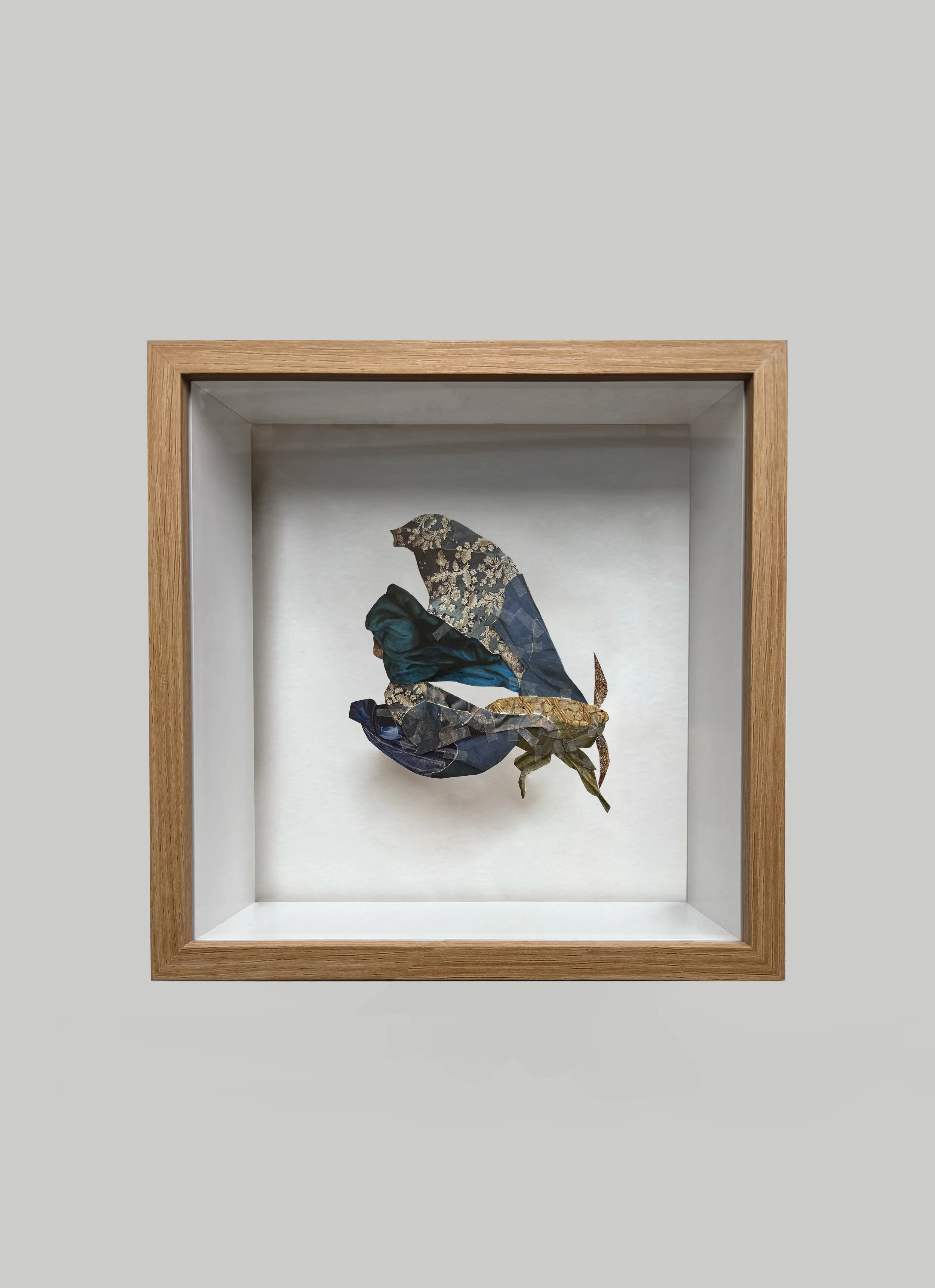 Entomology Box 09, 2025 (31,5 cm x 28,5 cm x 6 cm) - Collage on tissue paper assembled in a wooden box
