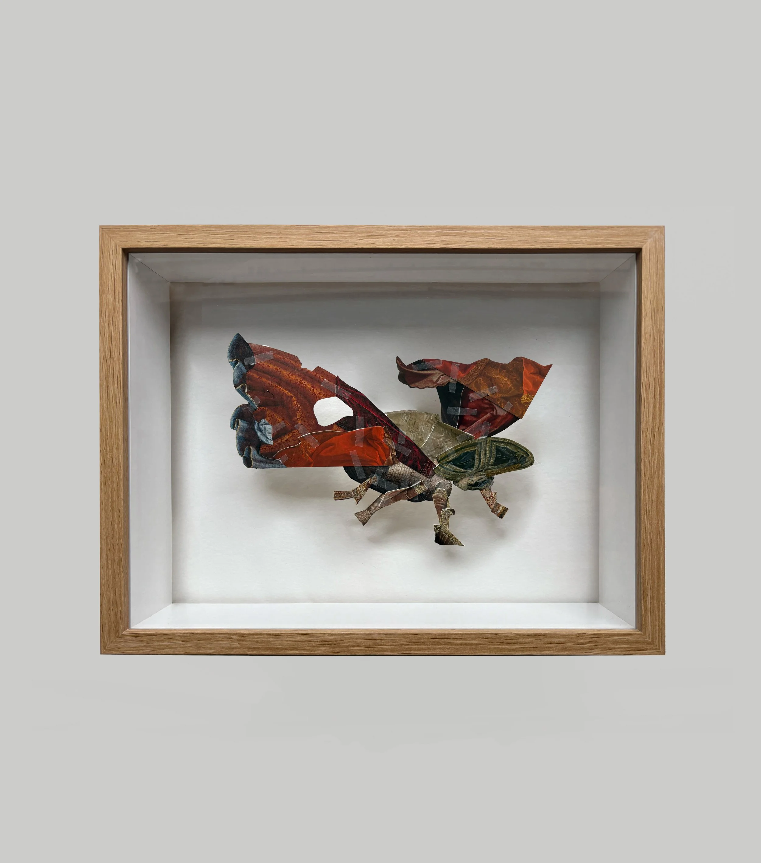 Entomology Box 05, 2025
(28 cm x 36 cm x 6 cm)

-

Collage on tissue paper assembled in a wooden box
