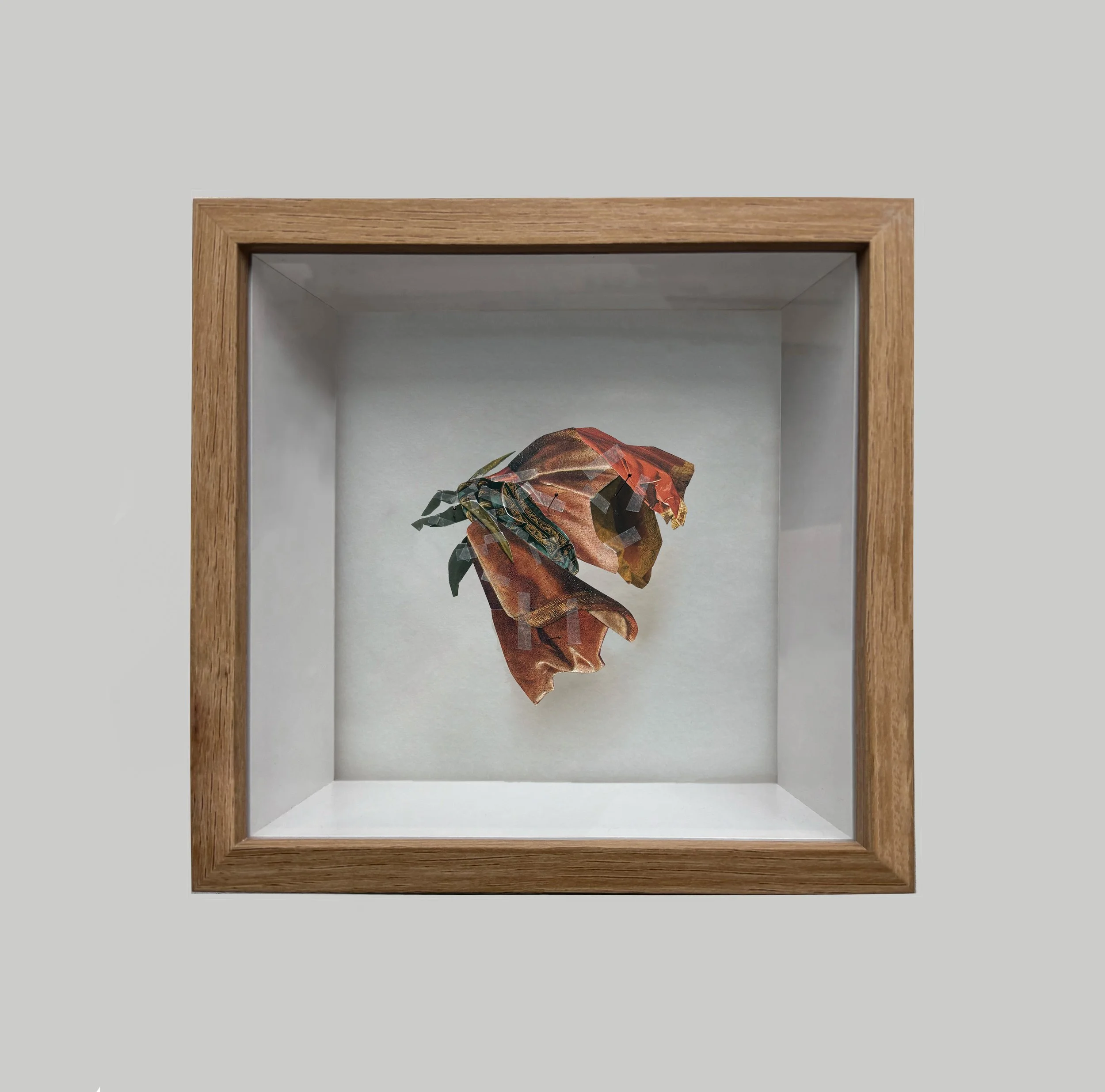 Entomology Box 08, 2025 (20 cm x 26,5 cm x 6 cm) - Collage on tissue paper assembled in a wooden box
