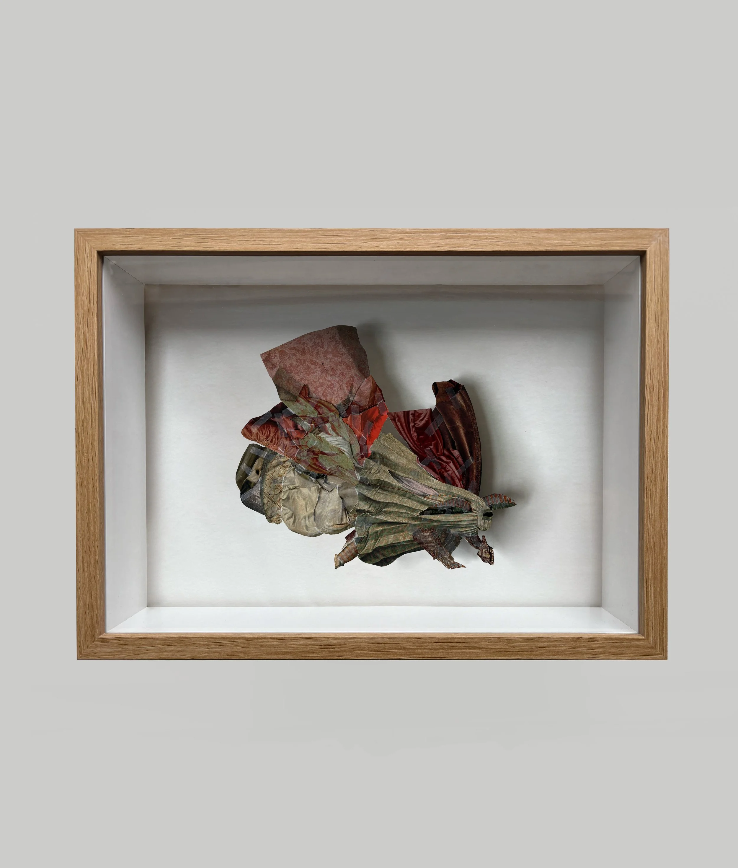 Entomology Box 06, 2025
(36 cm x 42 cm x 6 cm)

-

Collage on tissue paper assembled in a wooden box