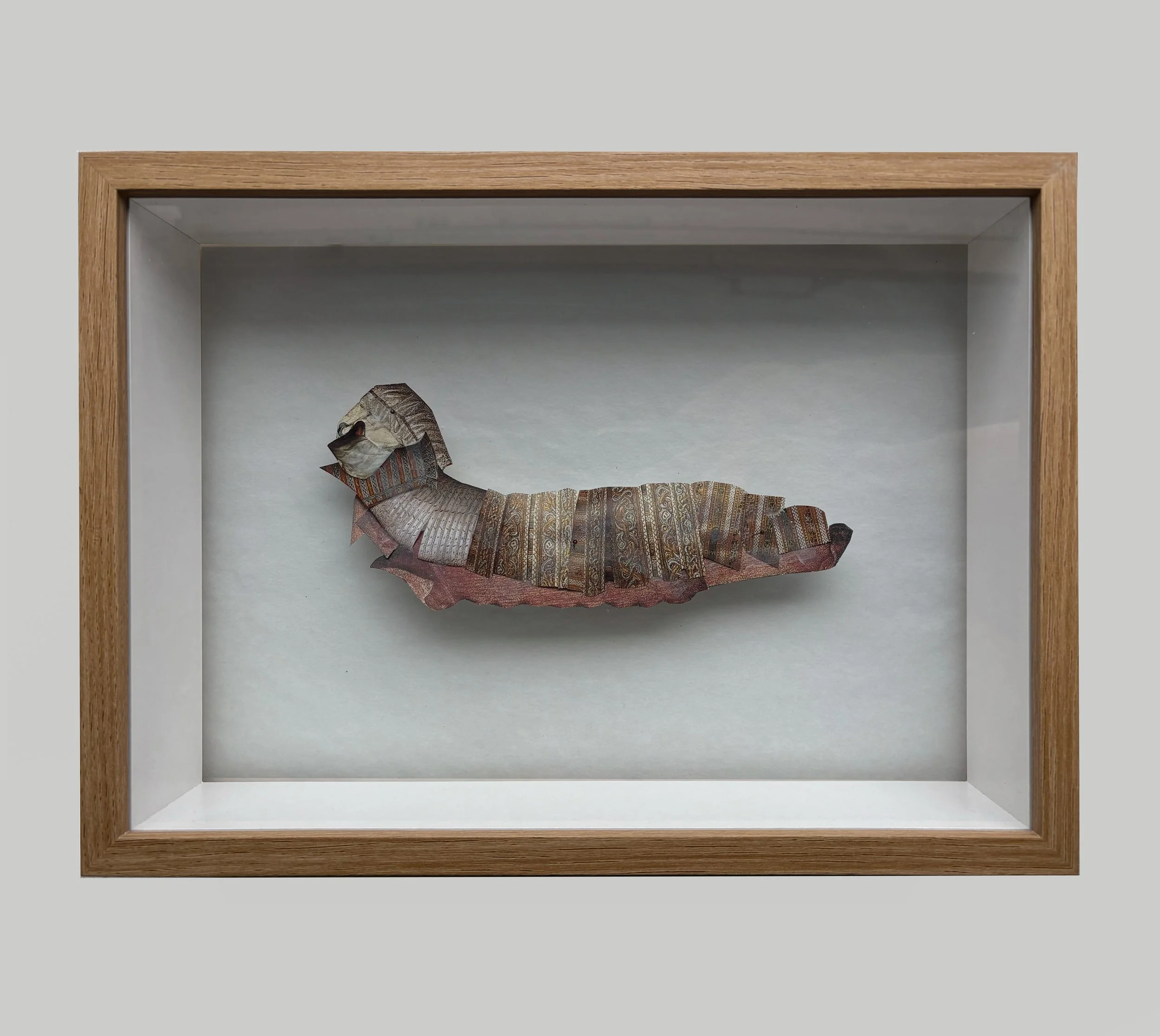 Entomology Box 03, 2025
(19,5 cm x 30,5 cm x 6 cm)
-
Collage on tissue paper assembled in a wooden box