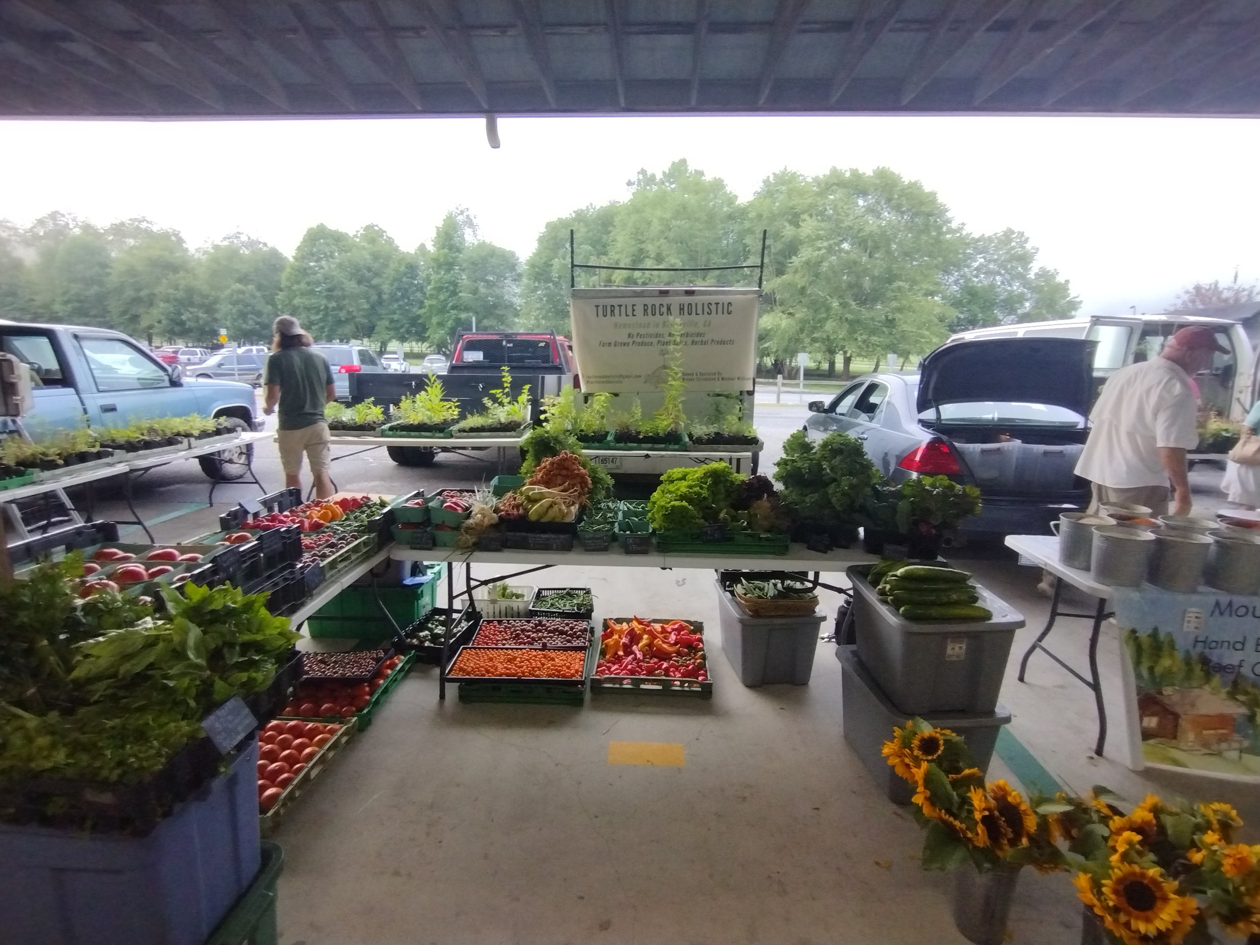 Outdoor market stall with fresh vegetables and fruits, parked cars, and trees in the background.