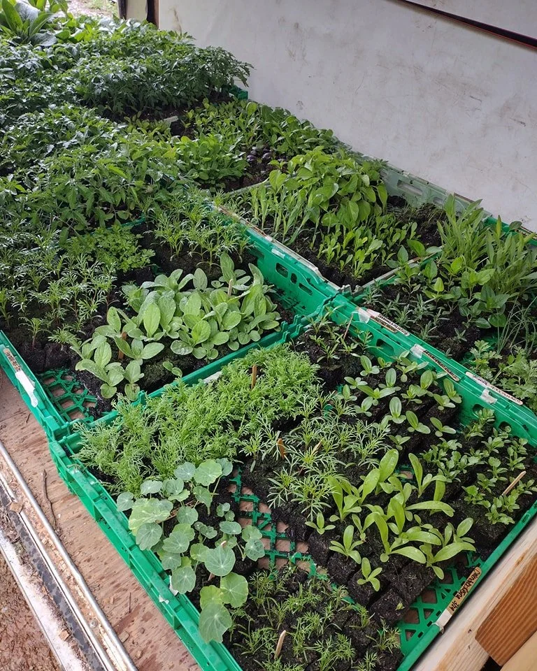 438686913_844996160980885_1612750067245426115_n (1).jpg