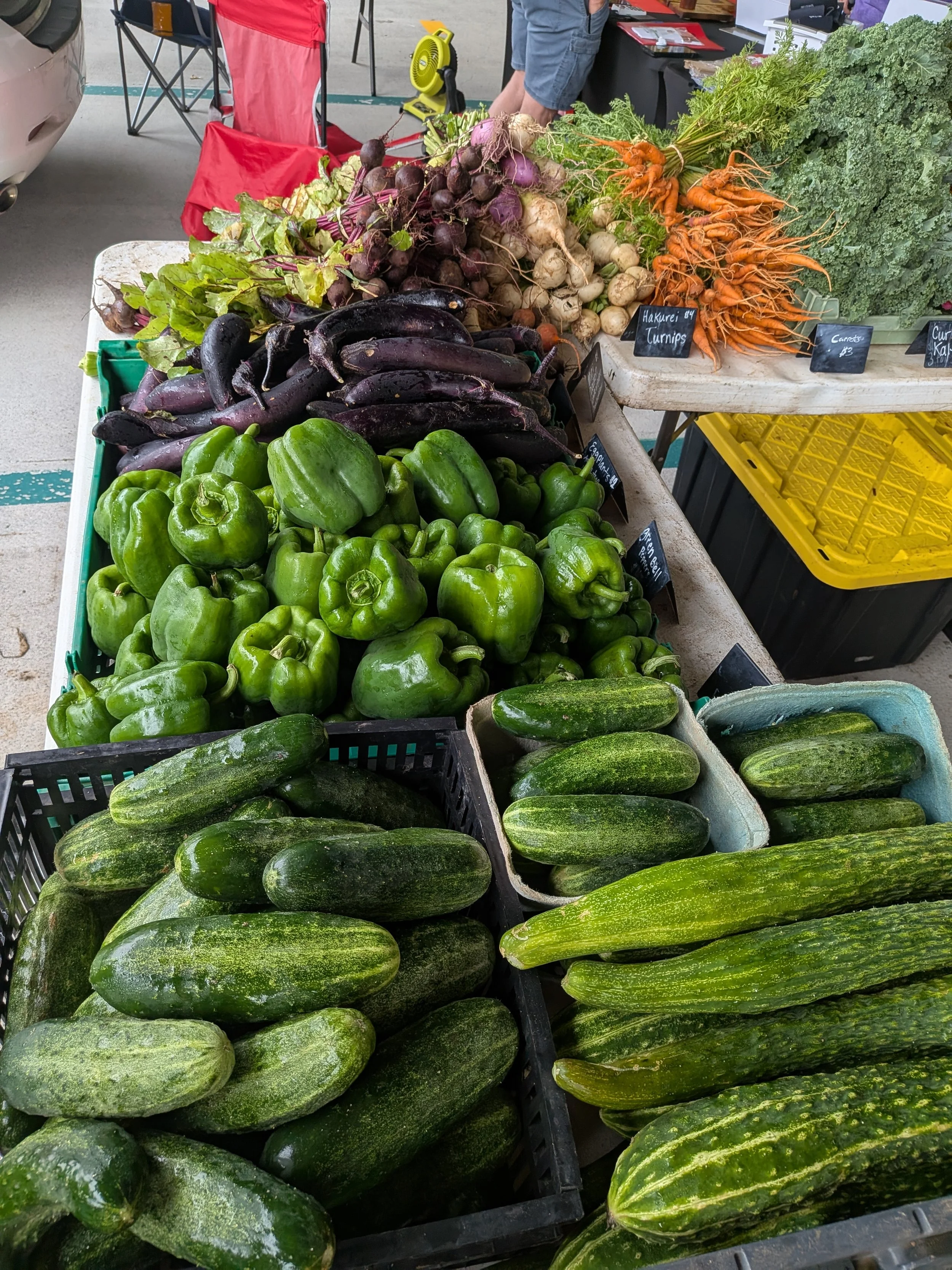 Fresh green bell peppers, zucchinis, eggplants, and root vegetables like carrots, turnips, and beets displayed at a farmers market.