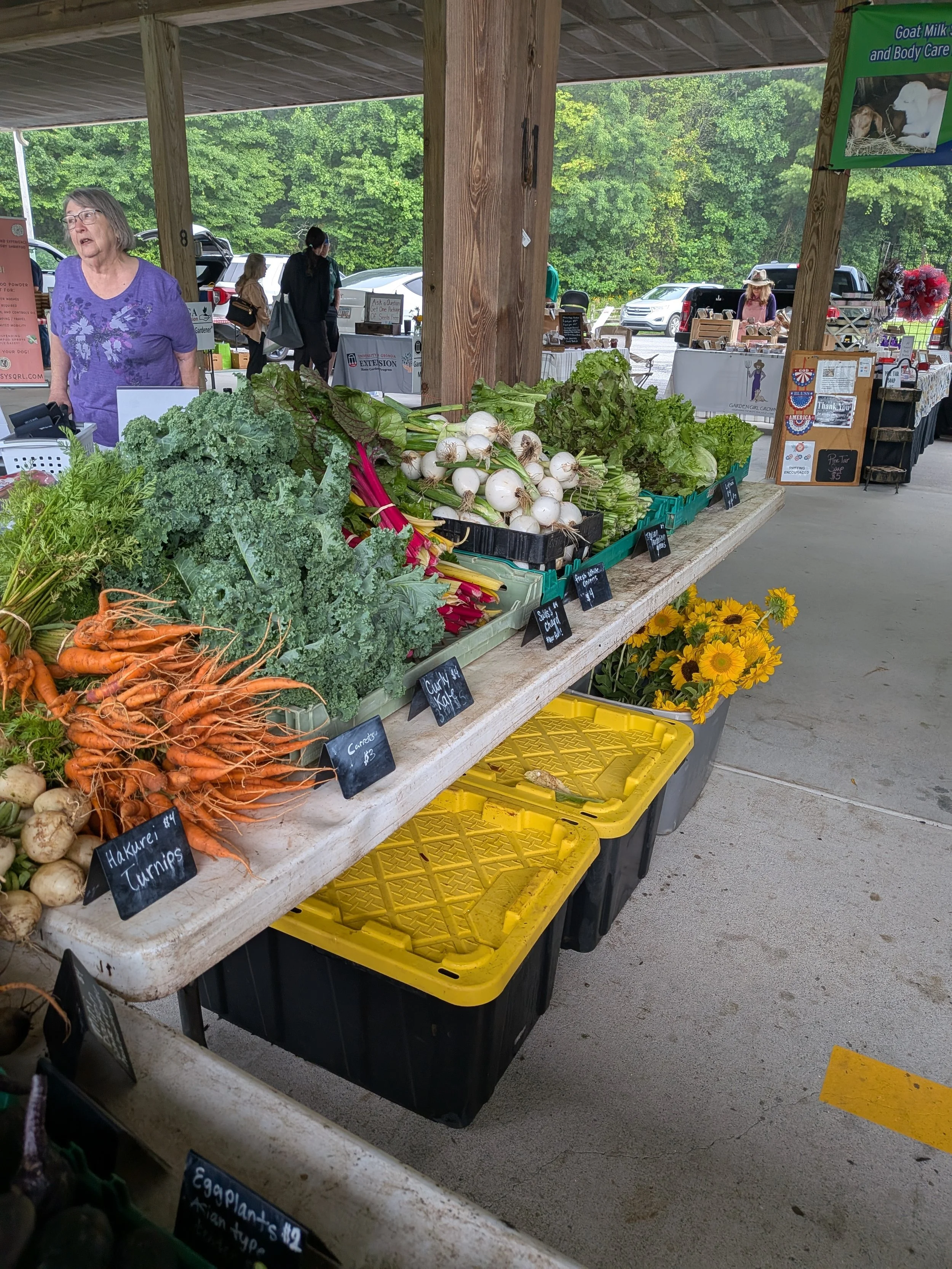 Fresh vegetables including carrots, turnips, green leafy lettuce, radishes, and scallions displayed at a farmer's market booth under a wooden shelter, with other vendor stalls visible in the background.