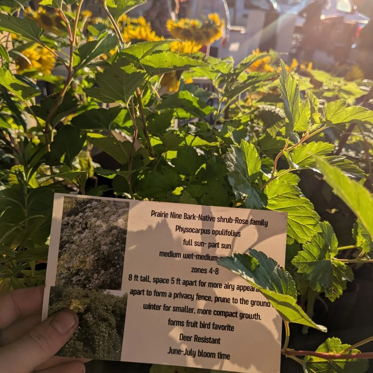 538171424_18318113851242039_5026373407663898885_n (1).jpg