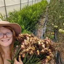 Smiling woman in a hat holding a large bunch of freshly harvested onions and garlic in a garden.