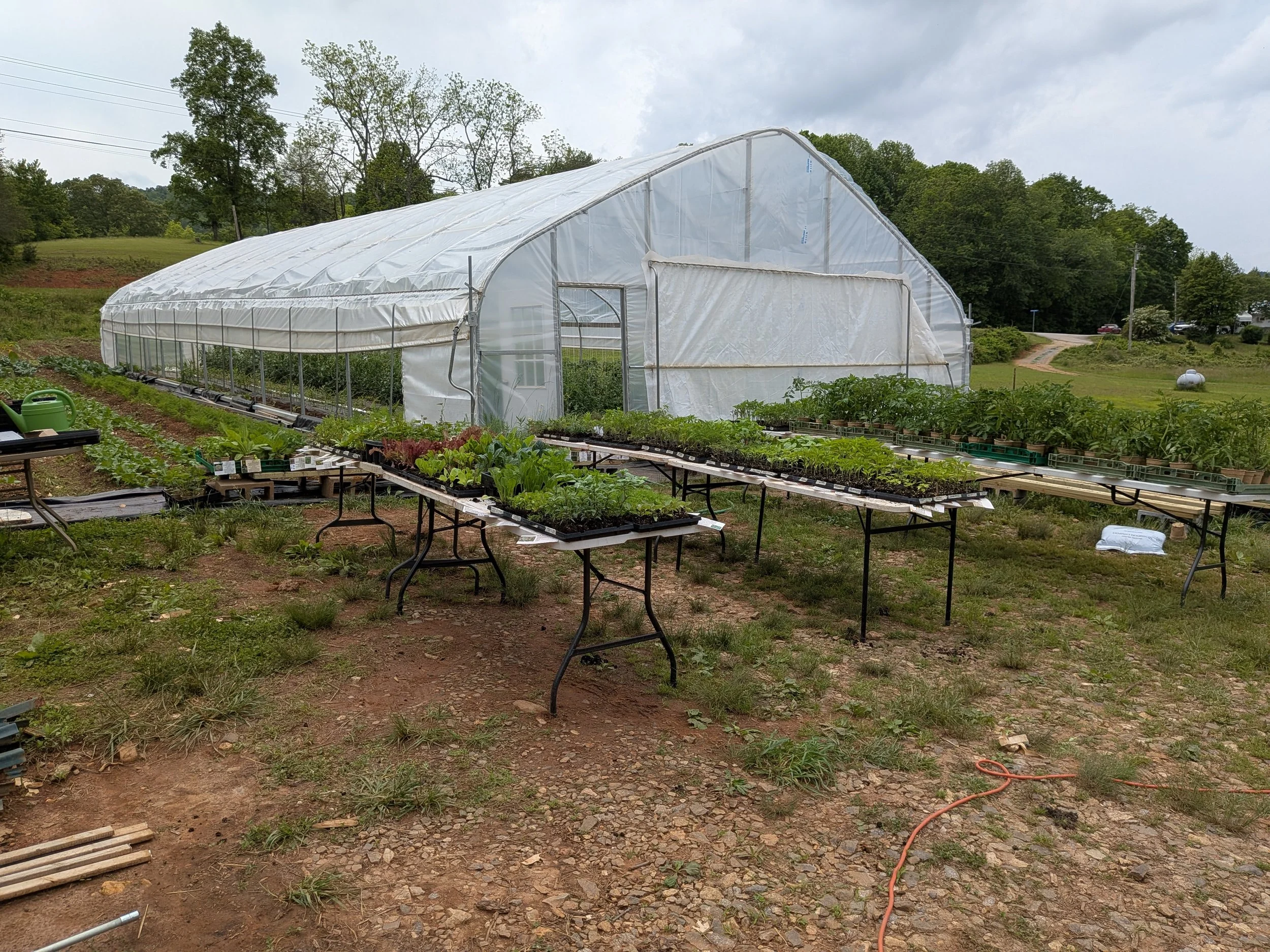 A small farm with a greenhouse and several tables of young plants and vegetables outside.